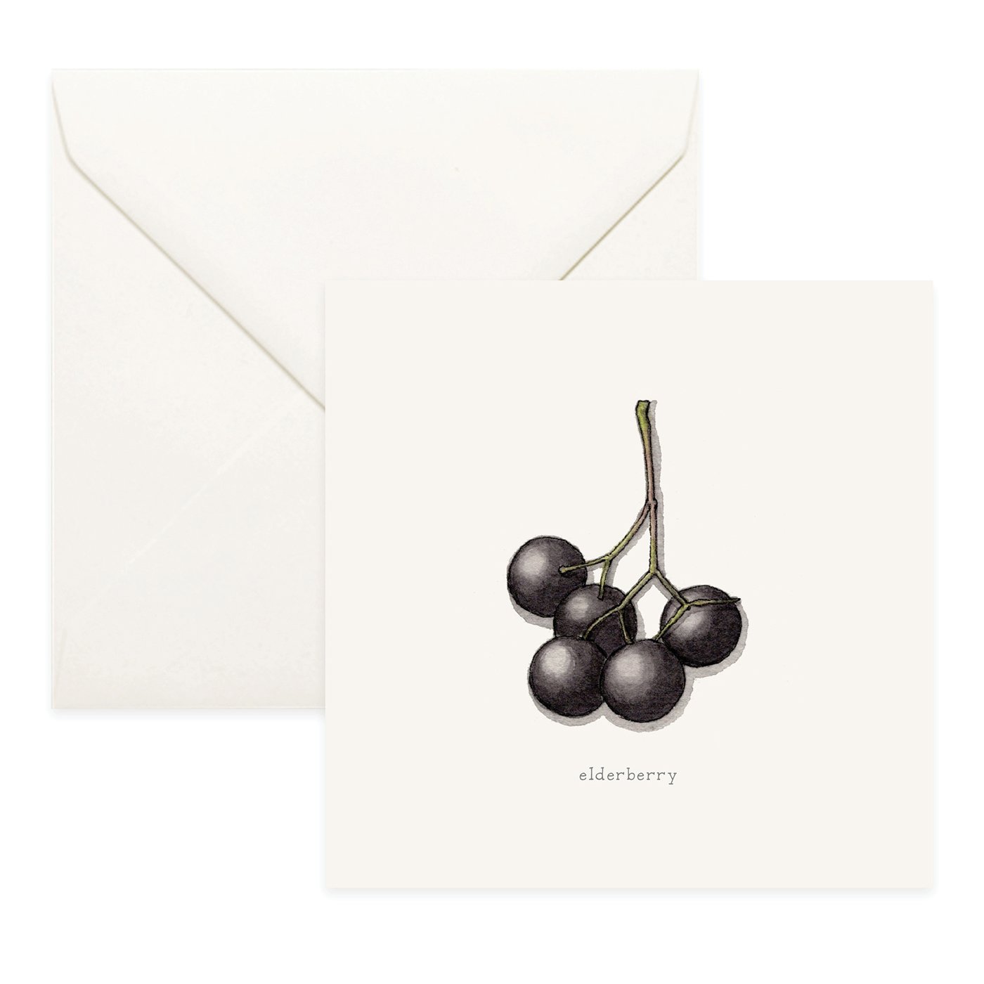 Shop_Cards_Berries13.jpg