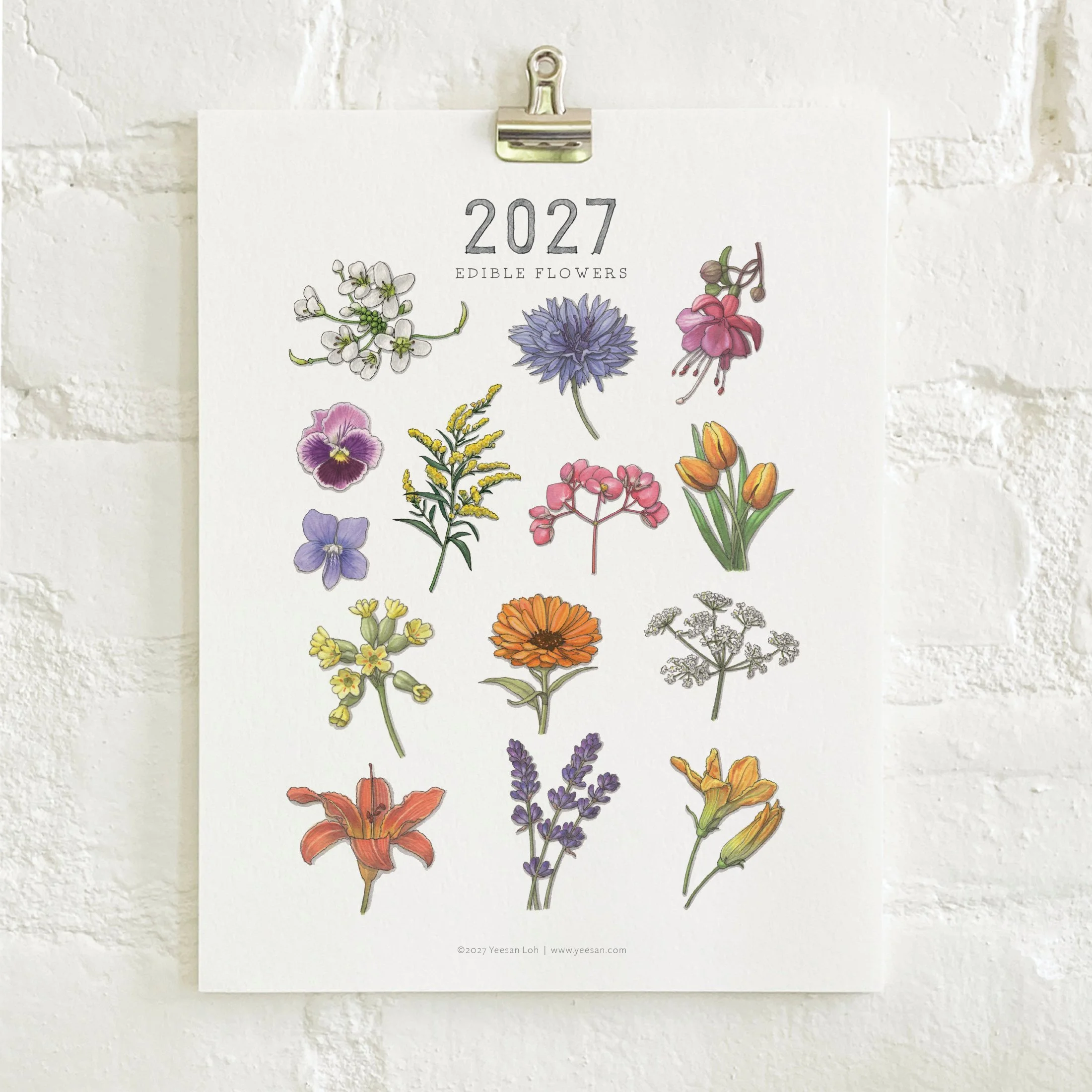 2027_shop_CAL_Flowers6.jpg