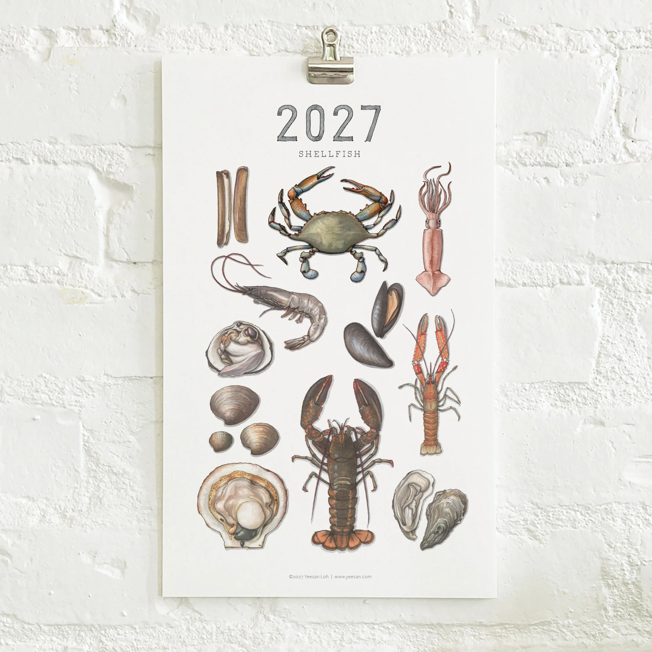 2027_shop_CAL_Shellfish2.jpg