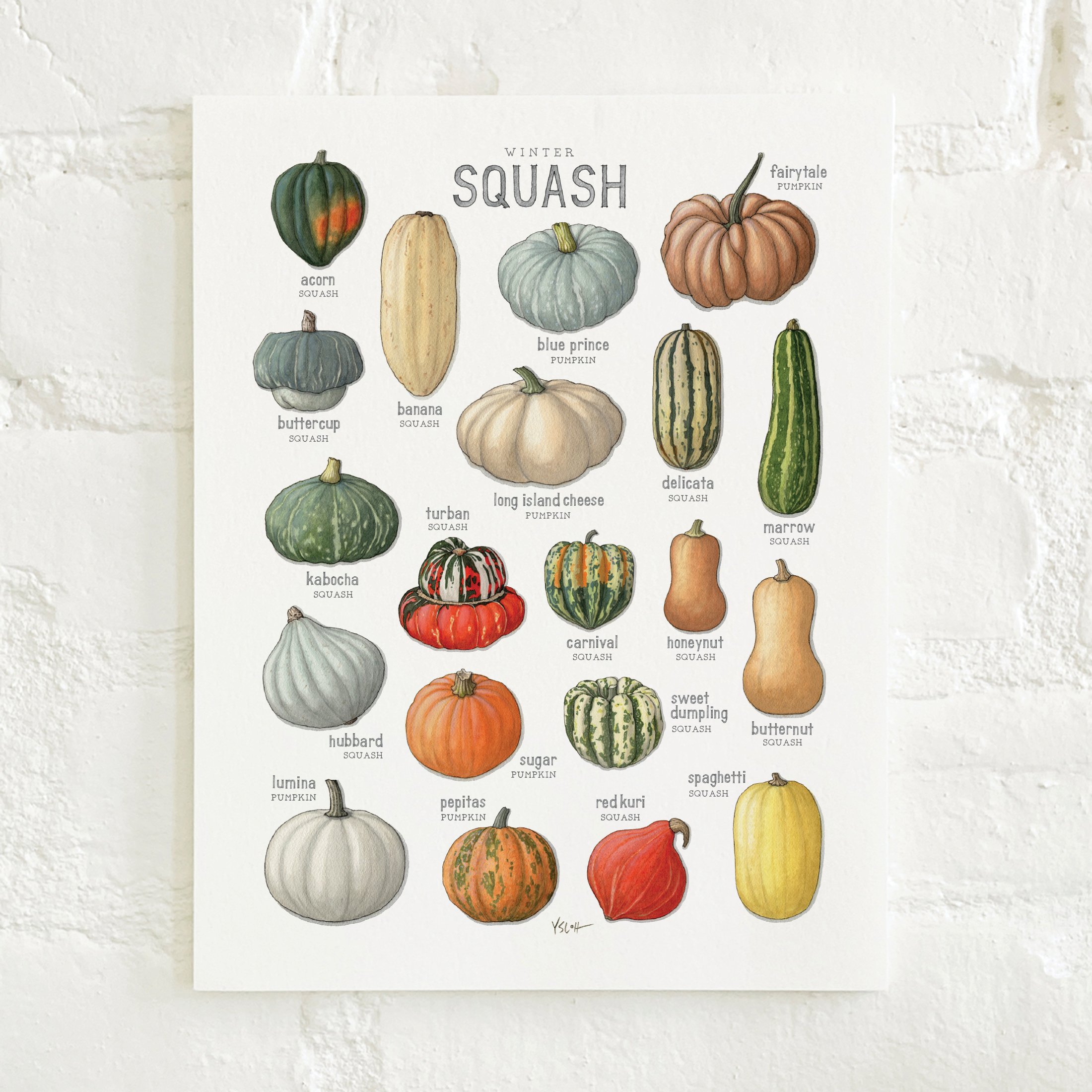 Shop_Prints_8.5x11_Squash_Winter2.jpg