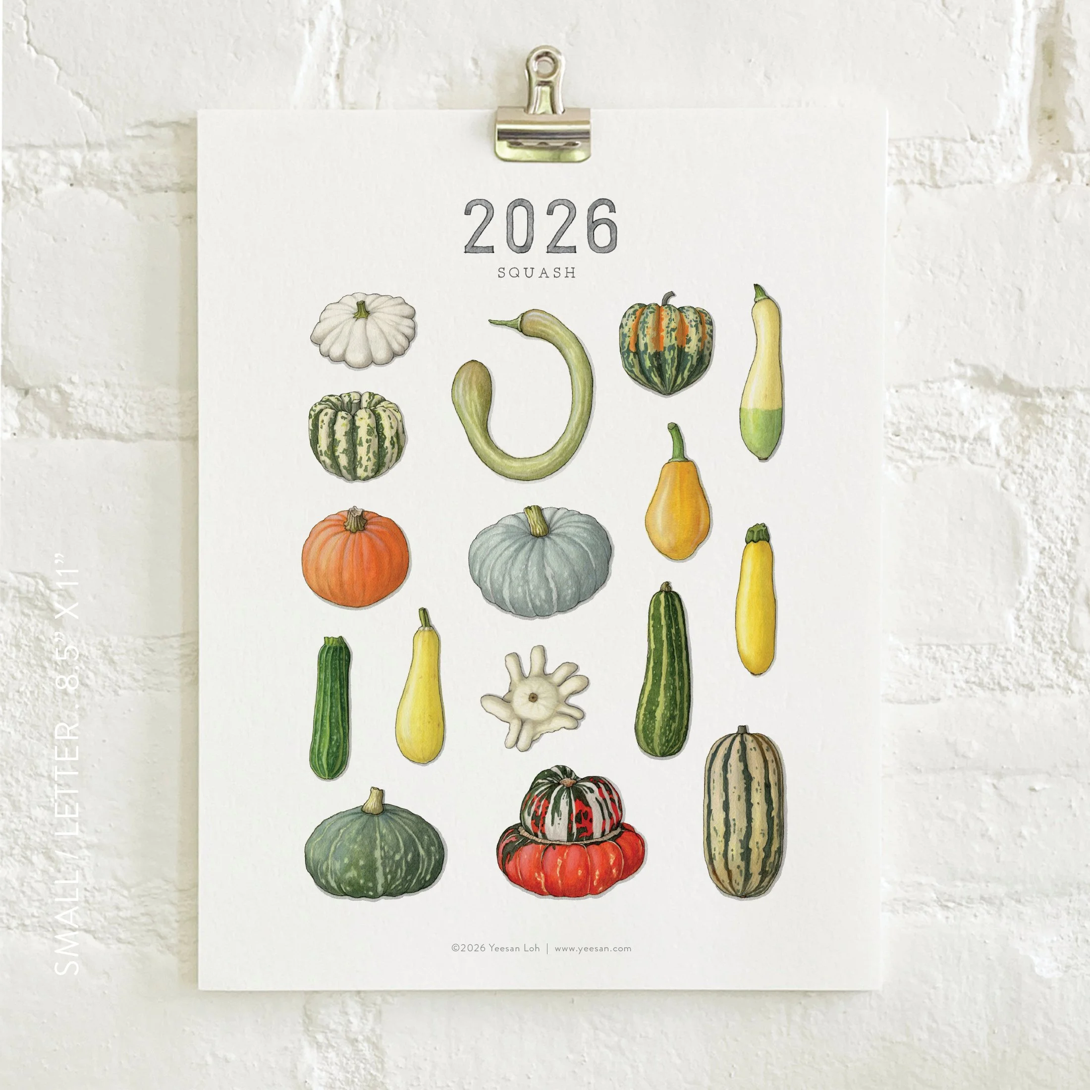 2026_shop_Calendars_Squash6.jpg