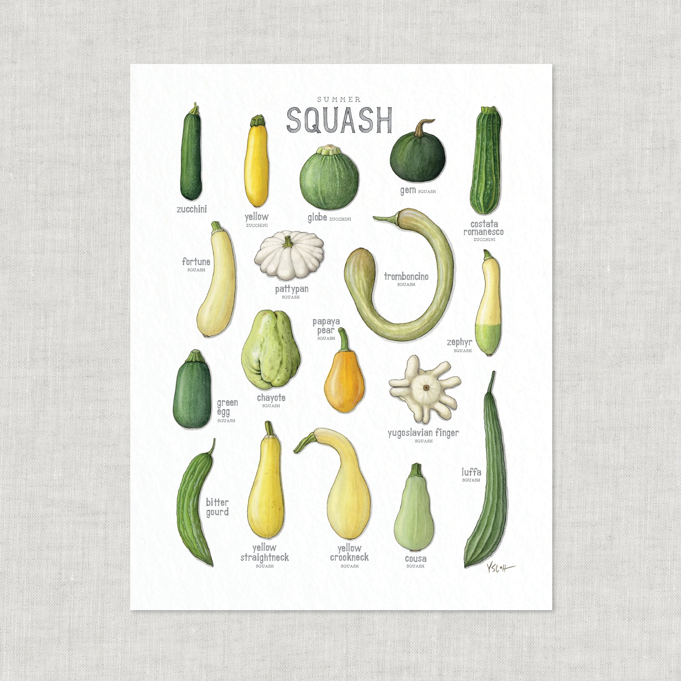 Shop_Prints_8.5x11_Squash_Summer3.jpg