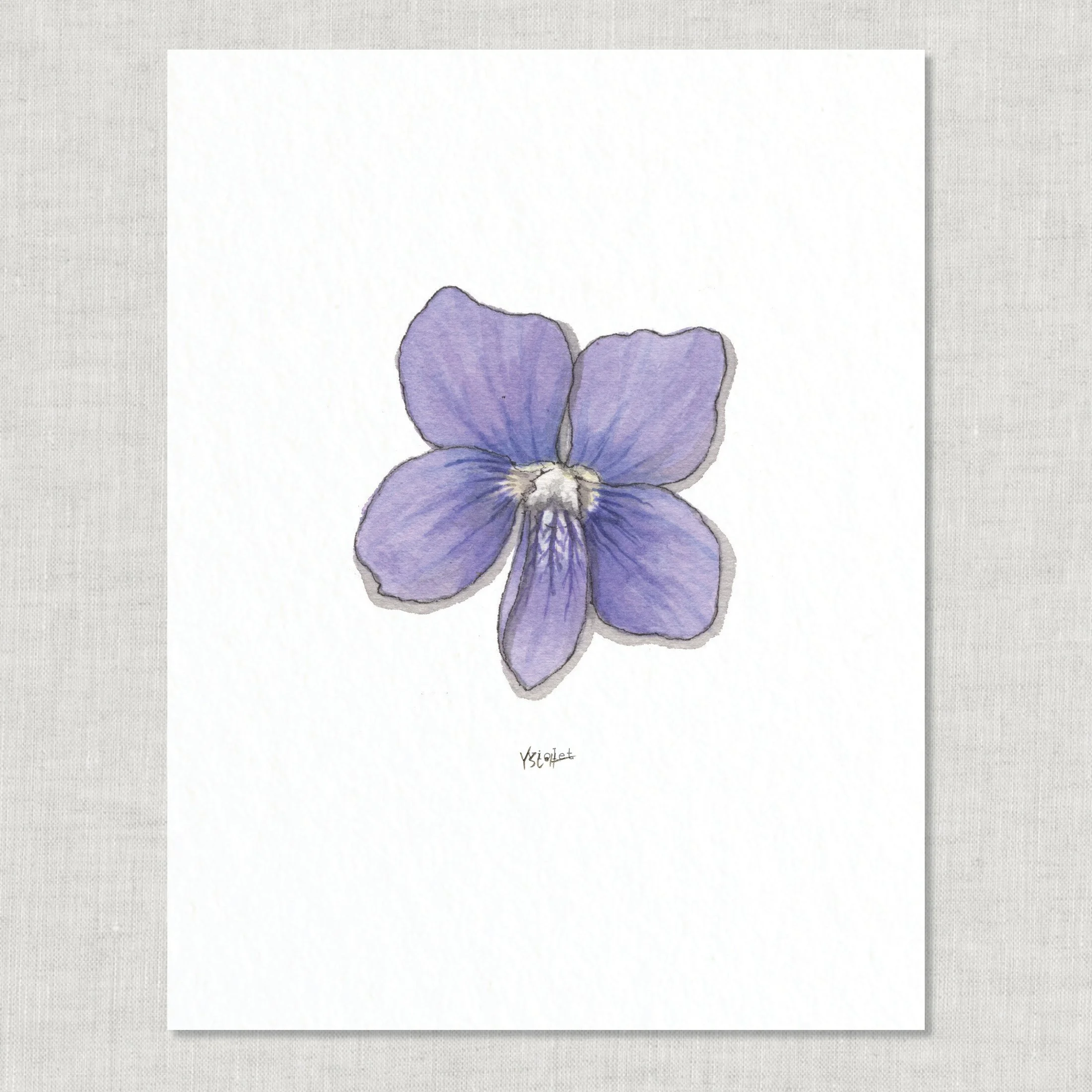 Shop_8.5x11_print_Edible Flowers28.jpg