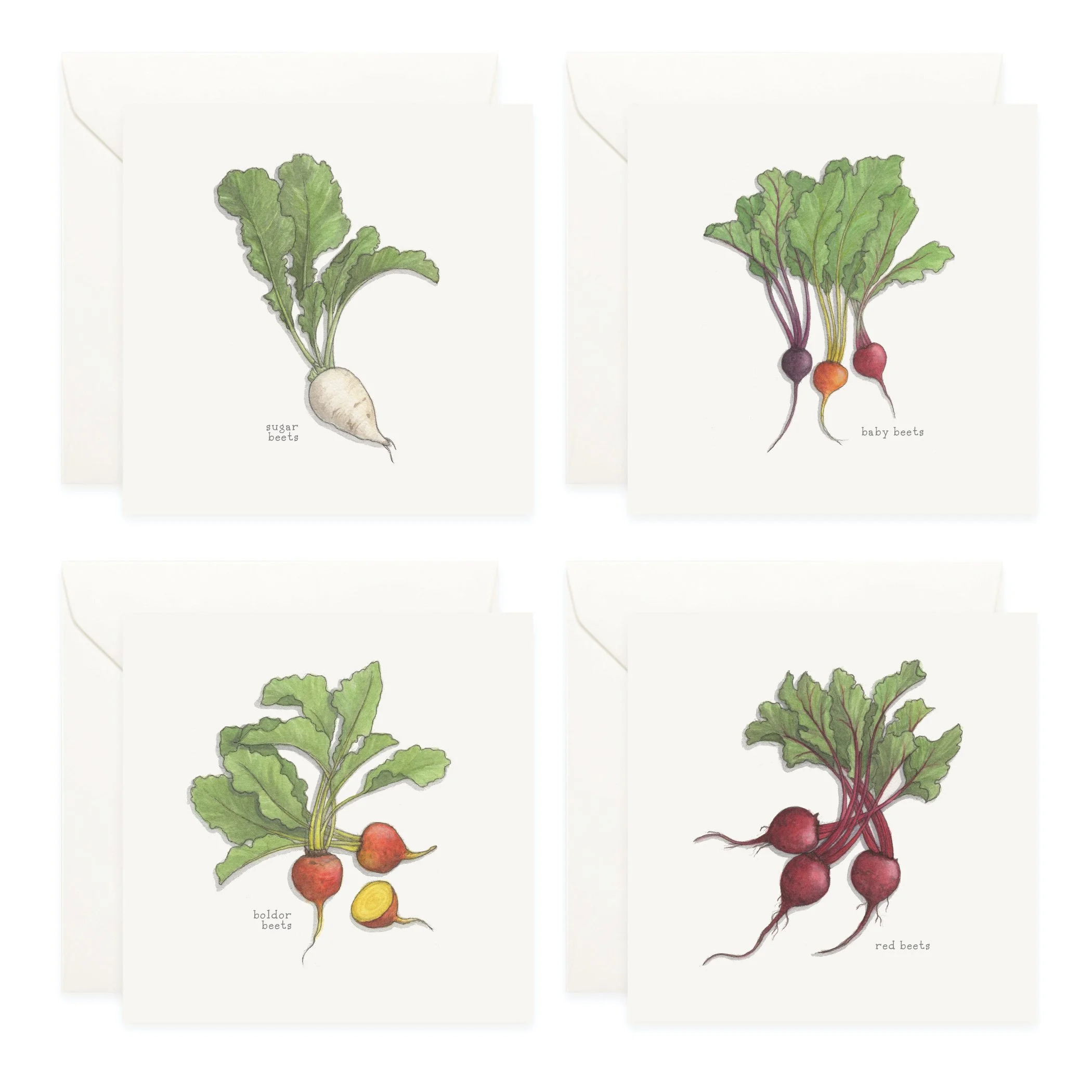 Shop_Box Set_Beets5.jpg