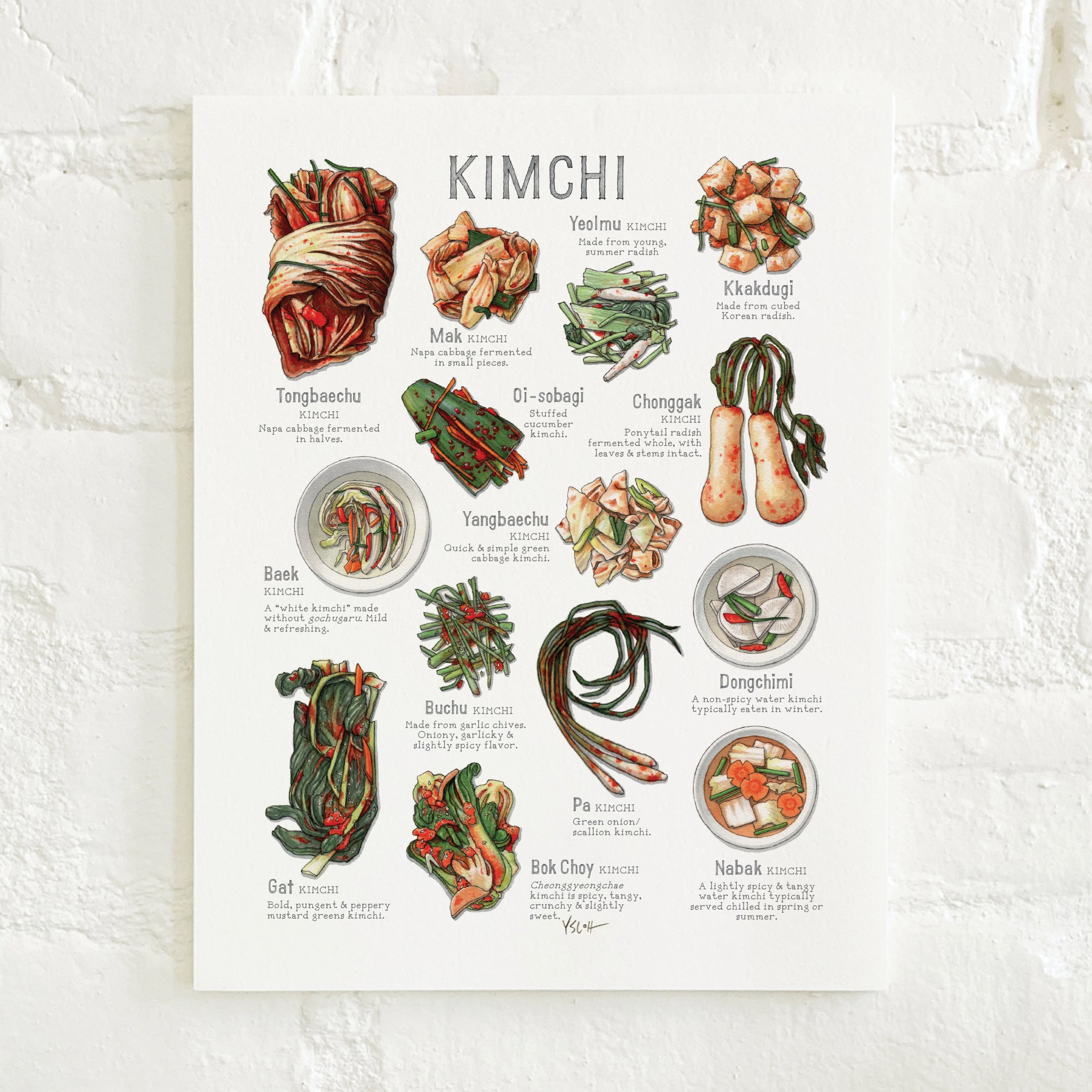 Shop_Prints_8.5x11_Kimchi2.jpg
