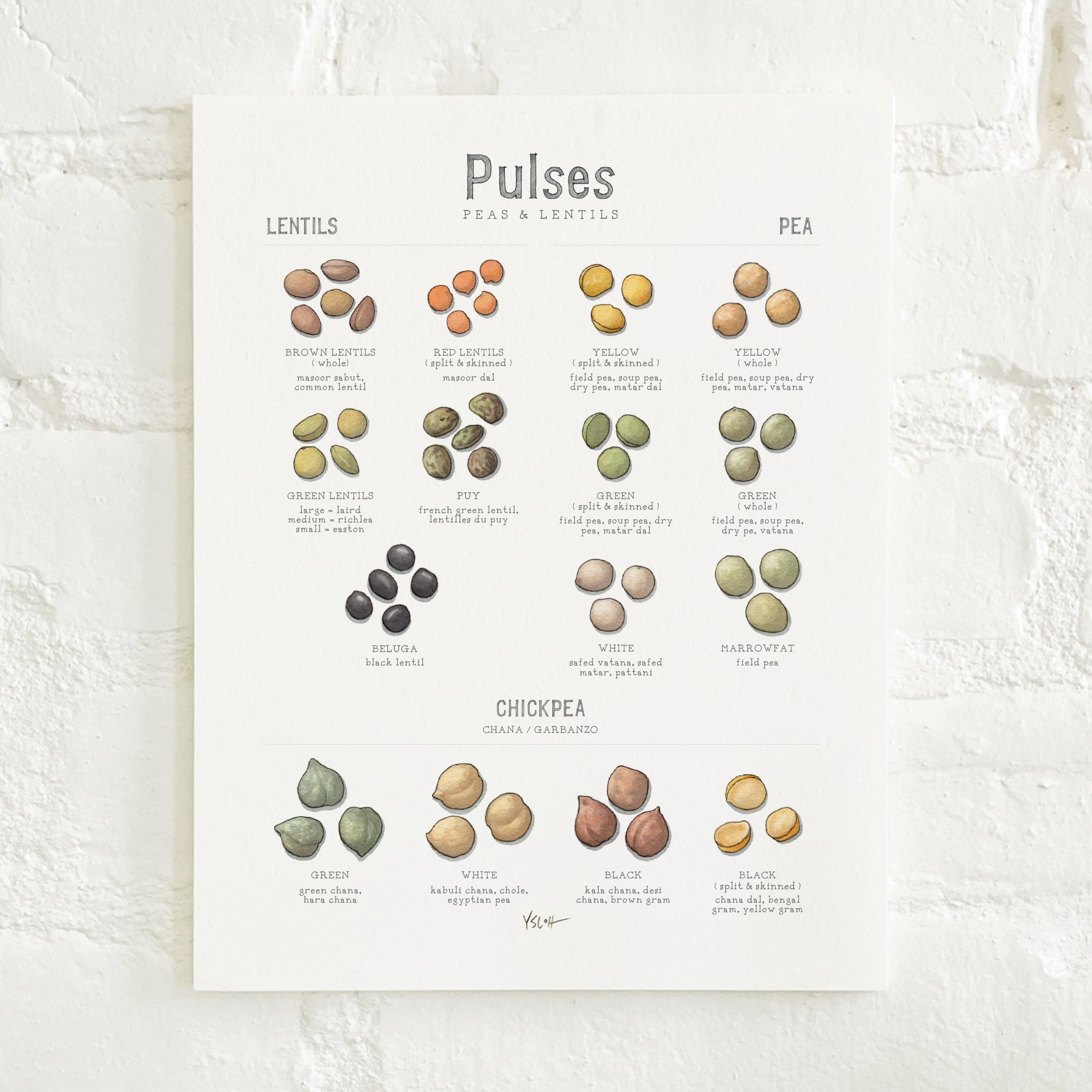 Shop_Prints_8.5x11_Pulses5.jpg