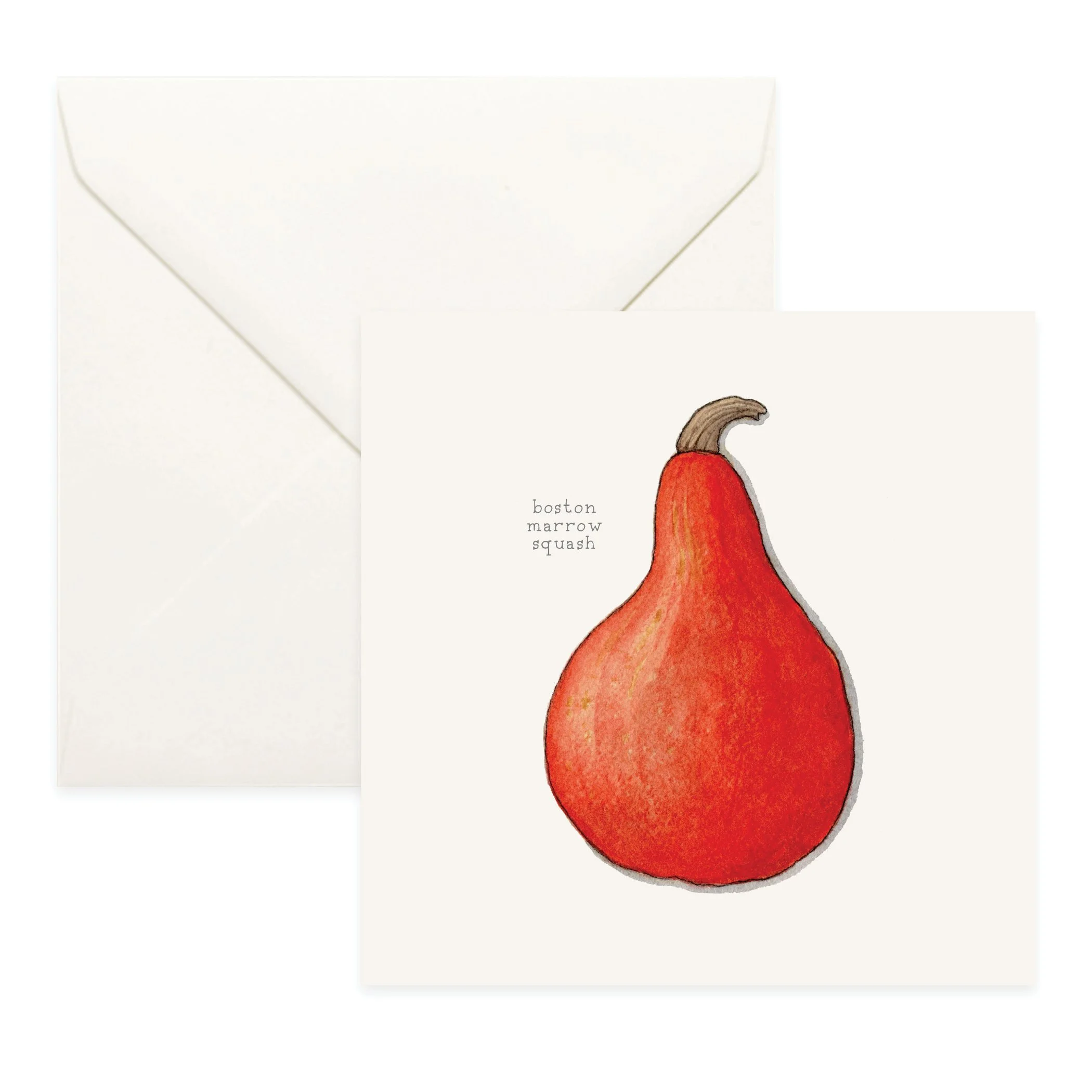 Boston Marrow Squash | YSL x Slow Food USA