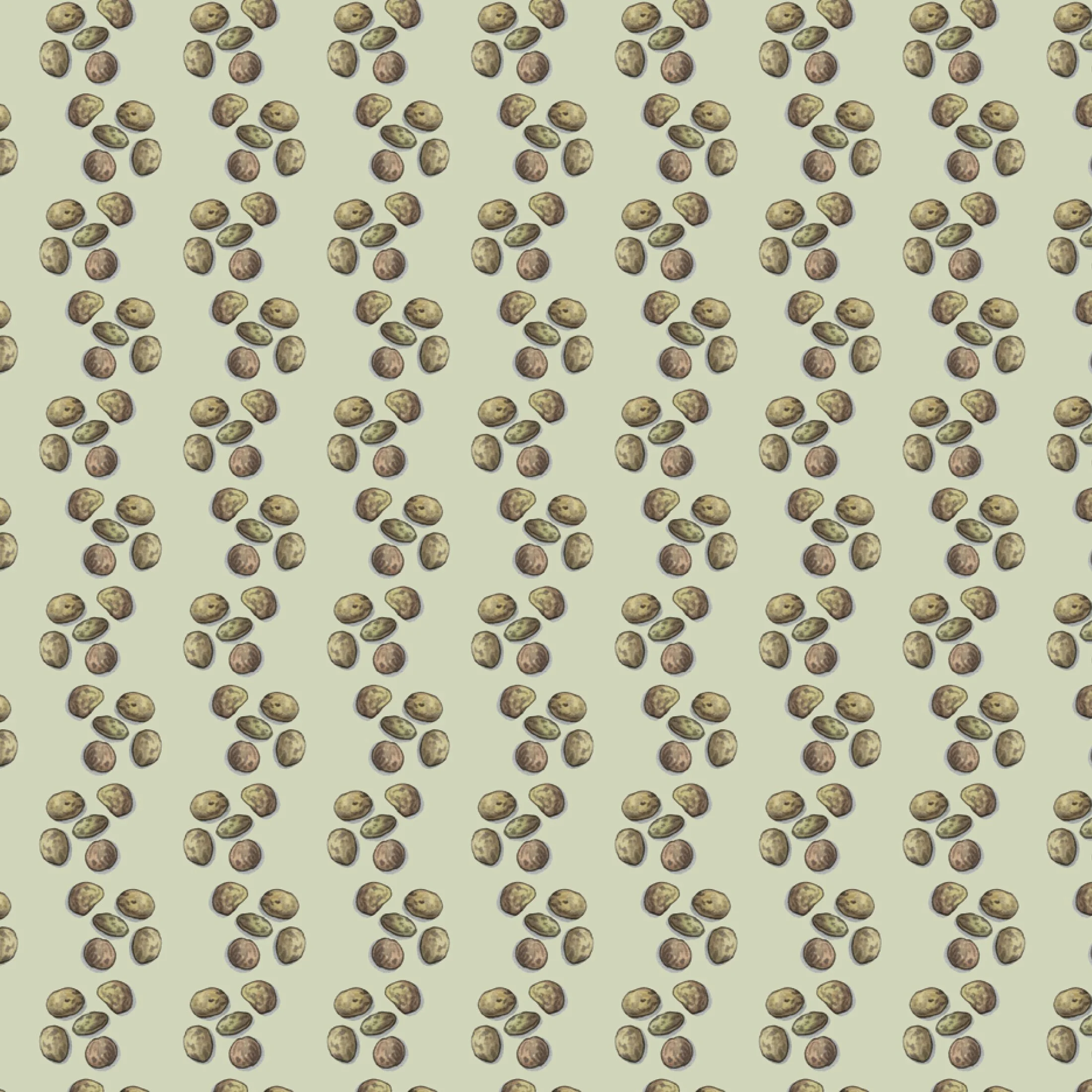 Shop_GW_Pulses_Lentil4.jpg