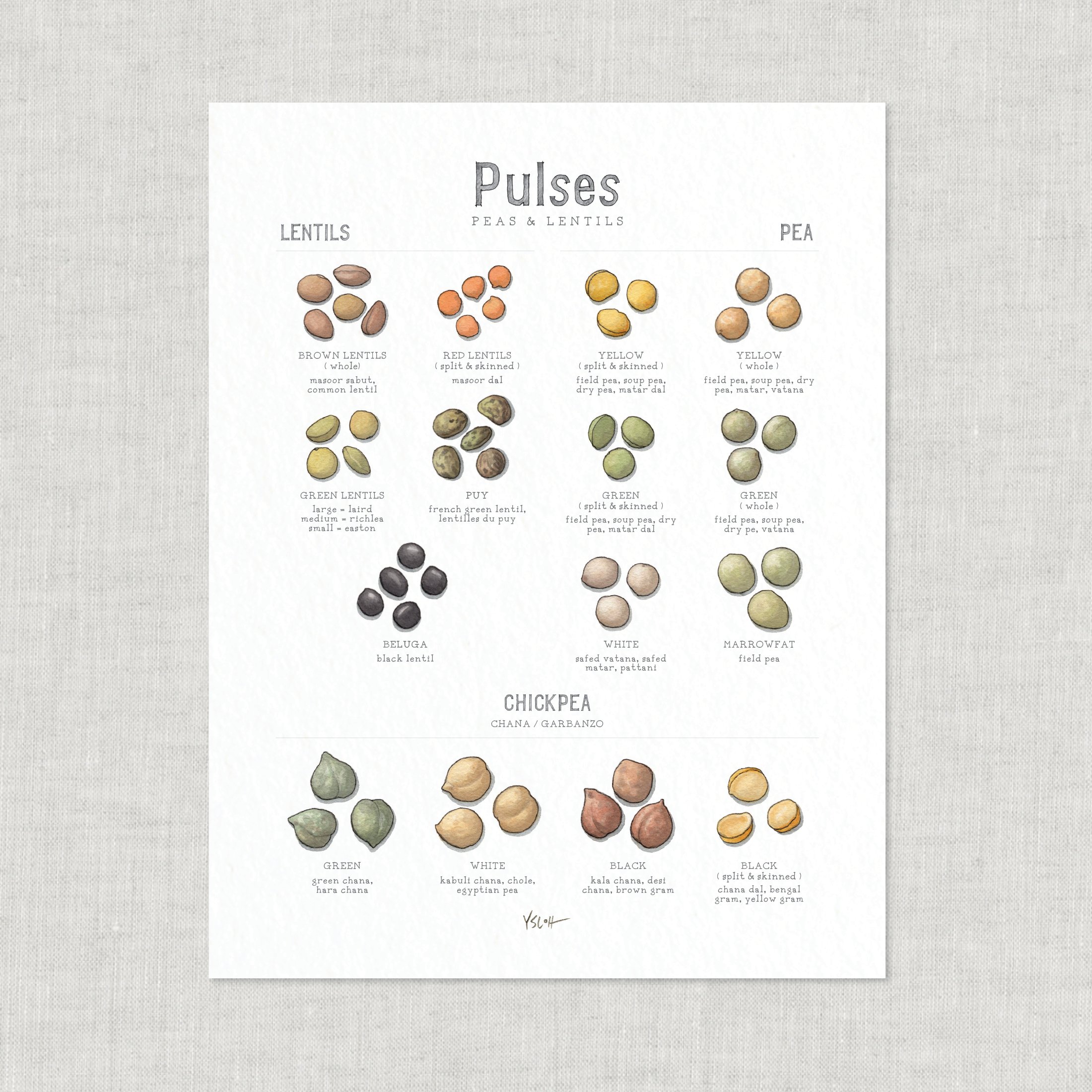 Shop_Prints_8.5x11_Pulses6.jpg