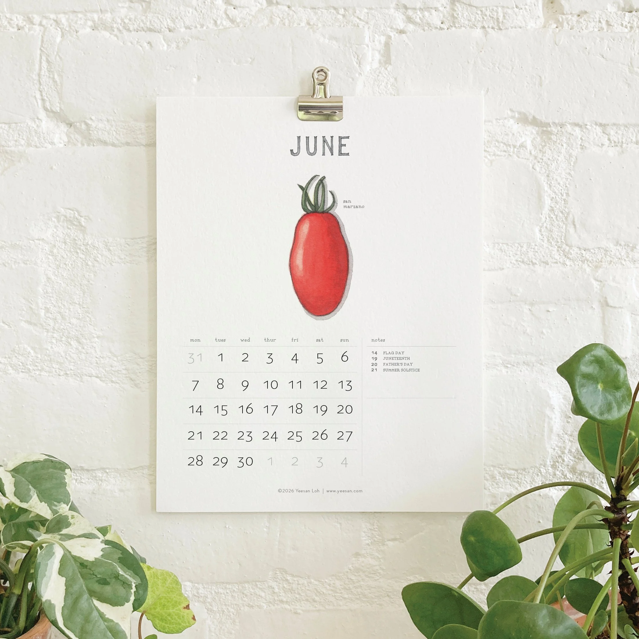 2027_shop_CAL_Tomatoes8.jpg