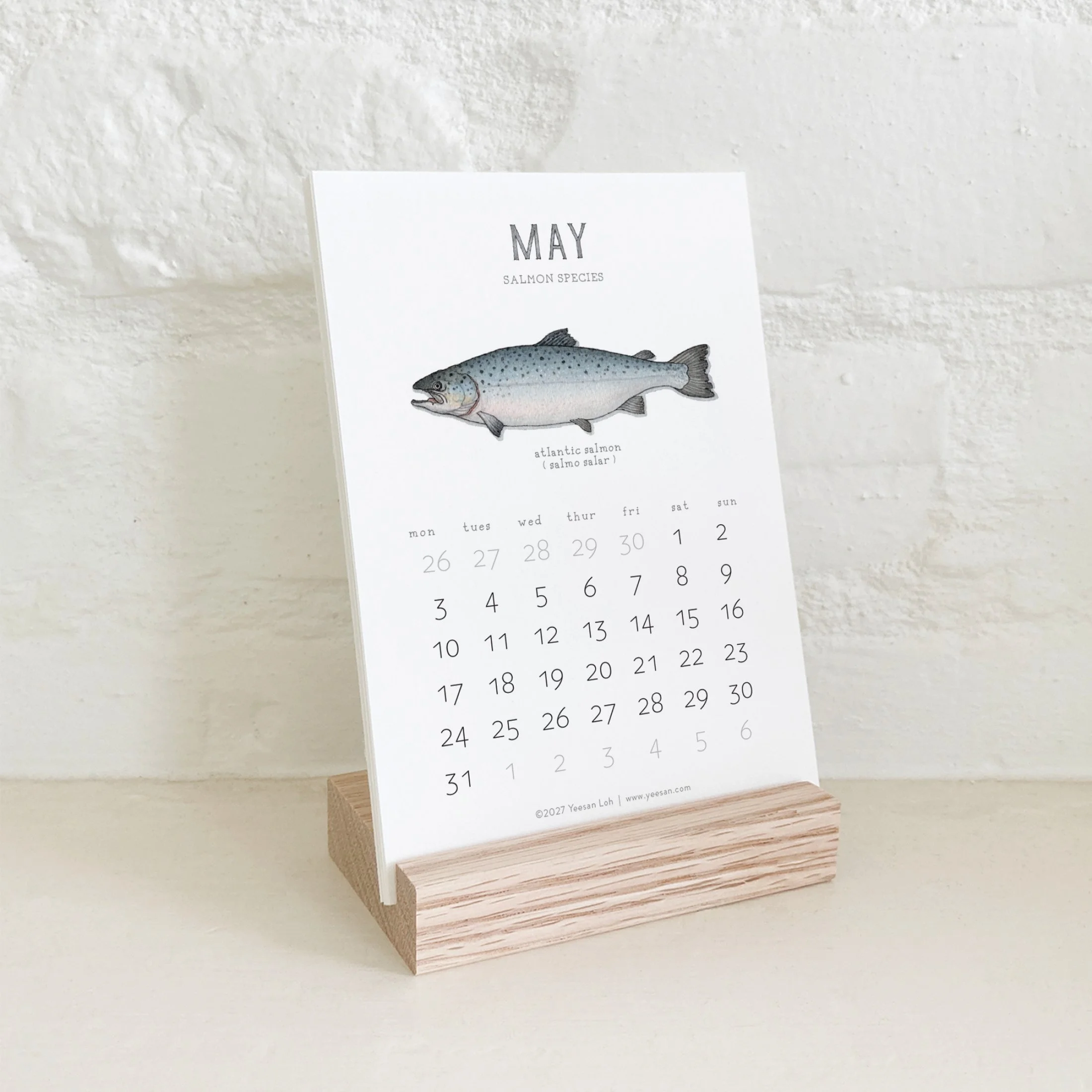 2027_shop_CAL_Salmon12.jpg
