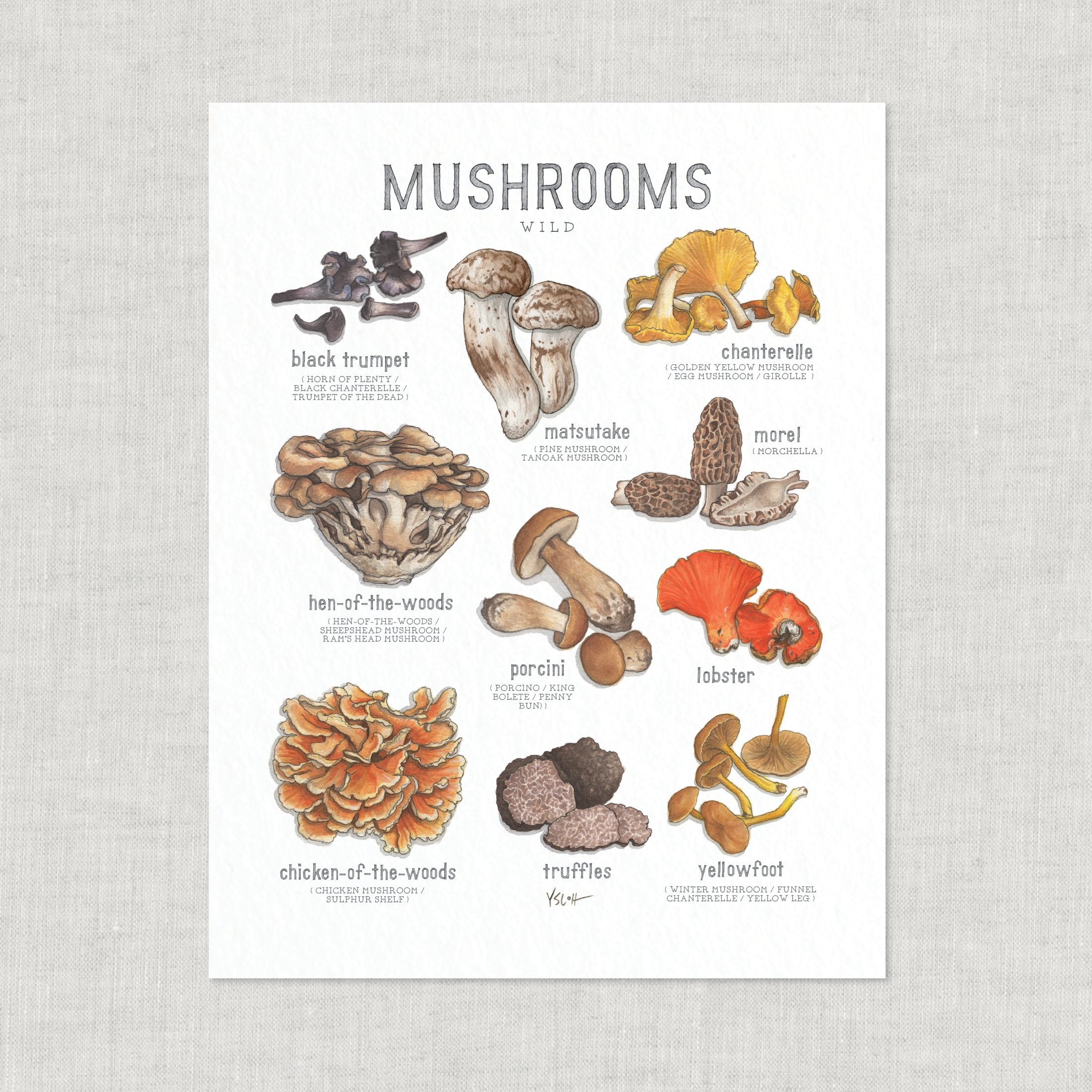 Shop_Prints_8.5x11_Mushrooms6.jpg