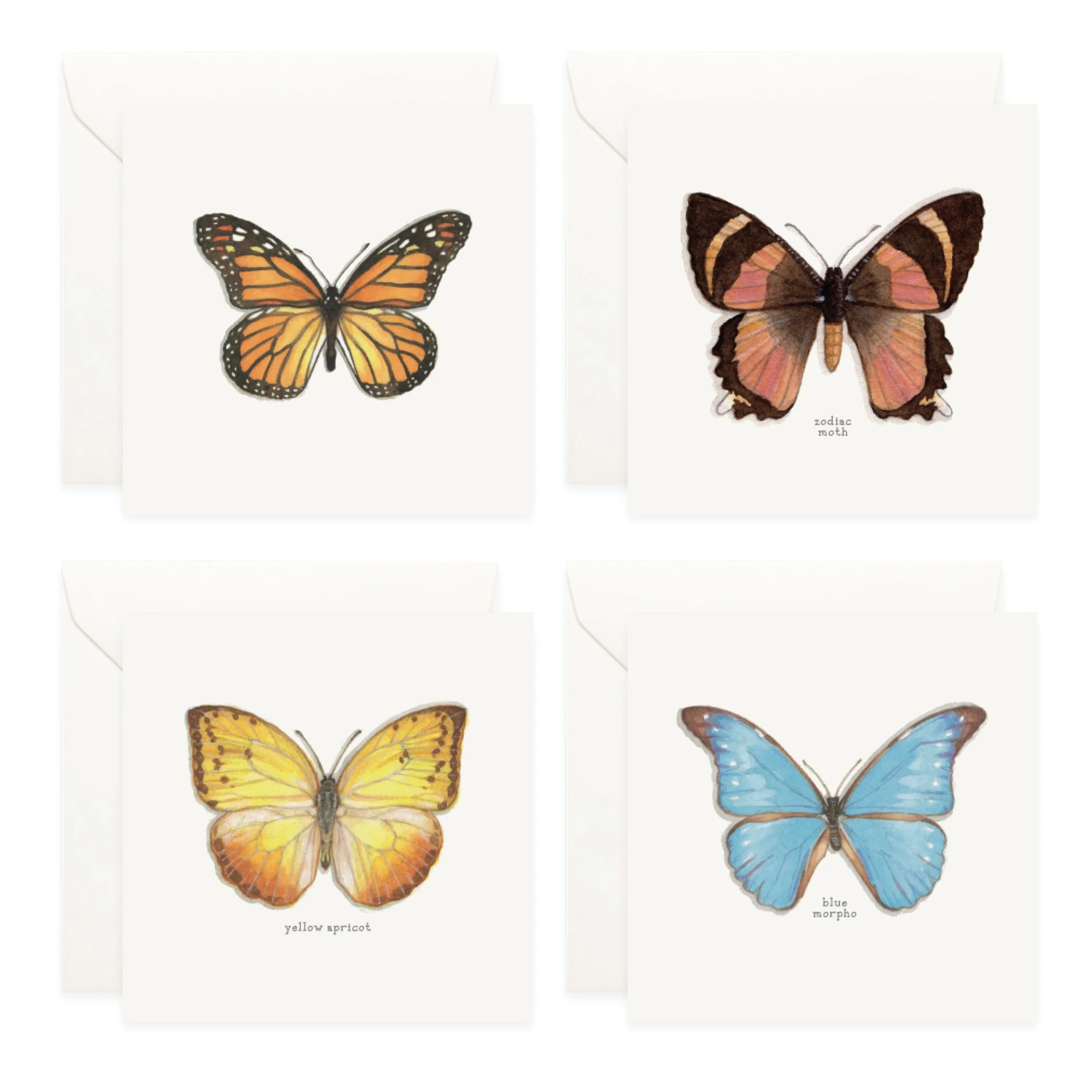 Shop_Box Set_B&M5.jpg