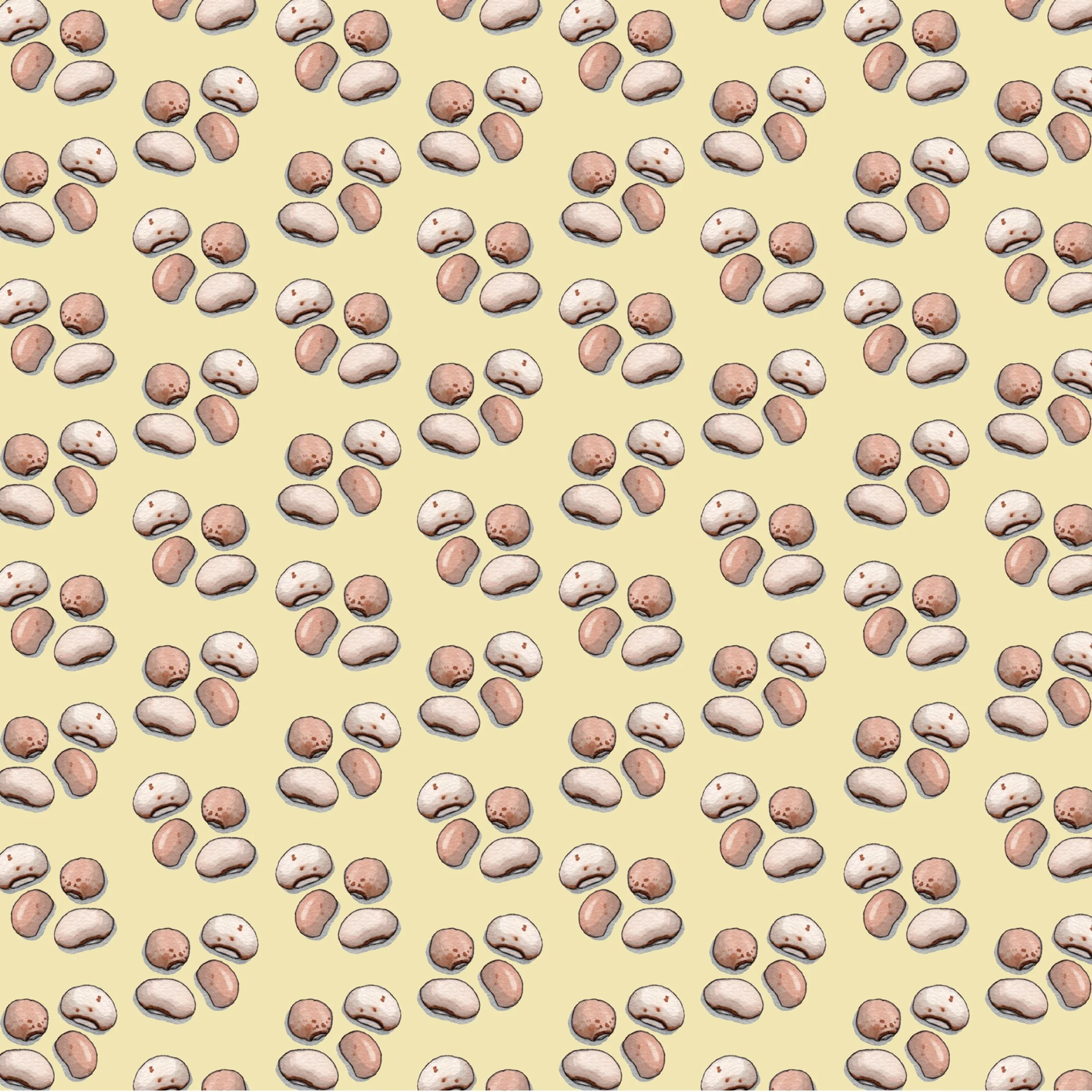 Shop_GW_Pulses_Beans6.jpg