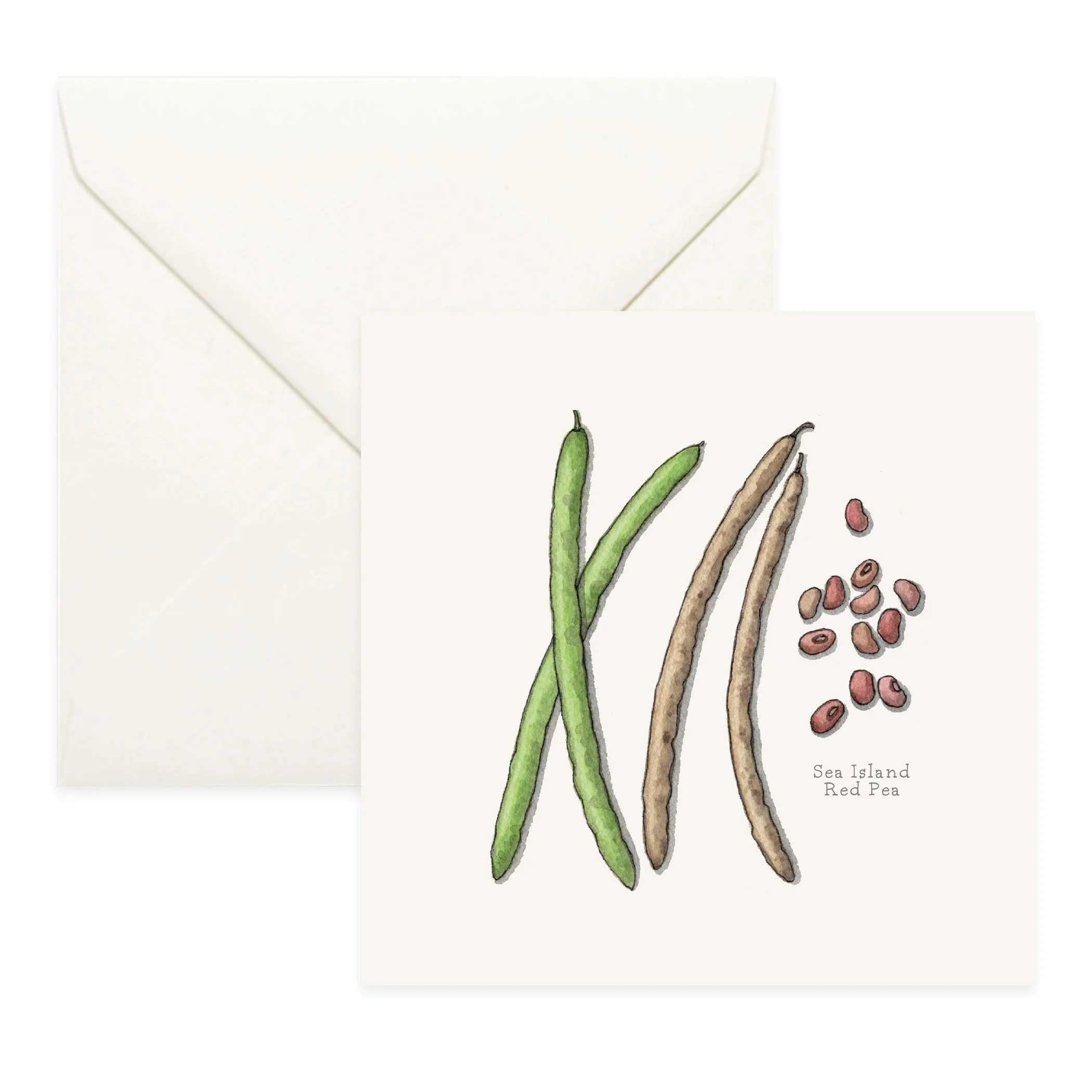 Sea Island Red Pea | YSL x Slow Food USA