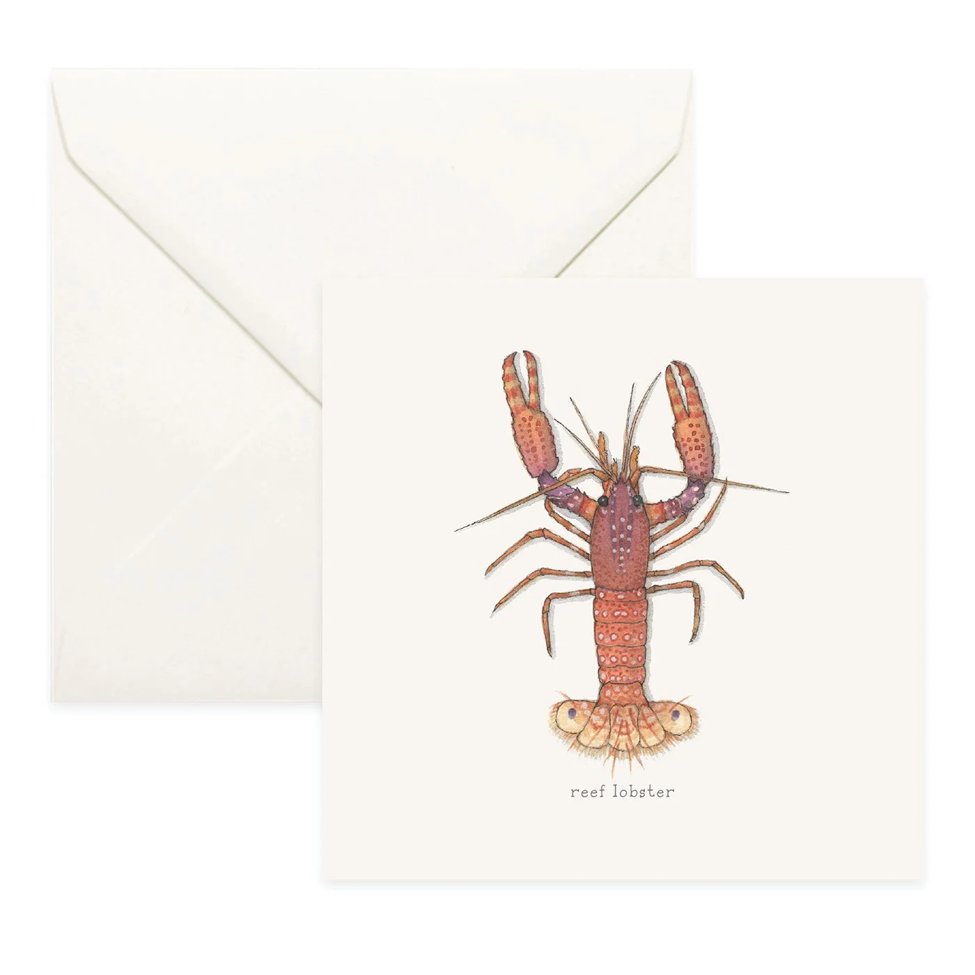 Shop_Cards_Lobsters11.jpg