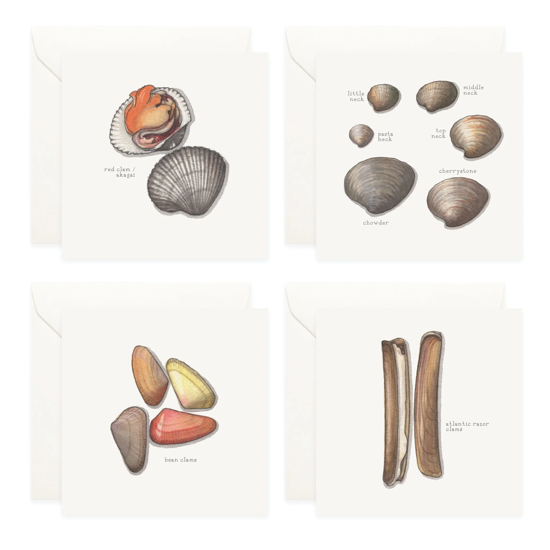 Shop_Box Set_Bivalves3.jpg