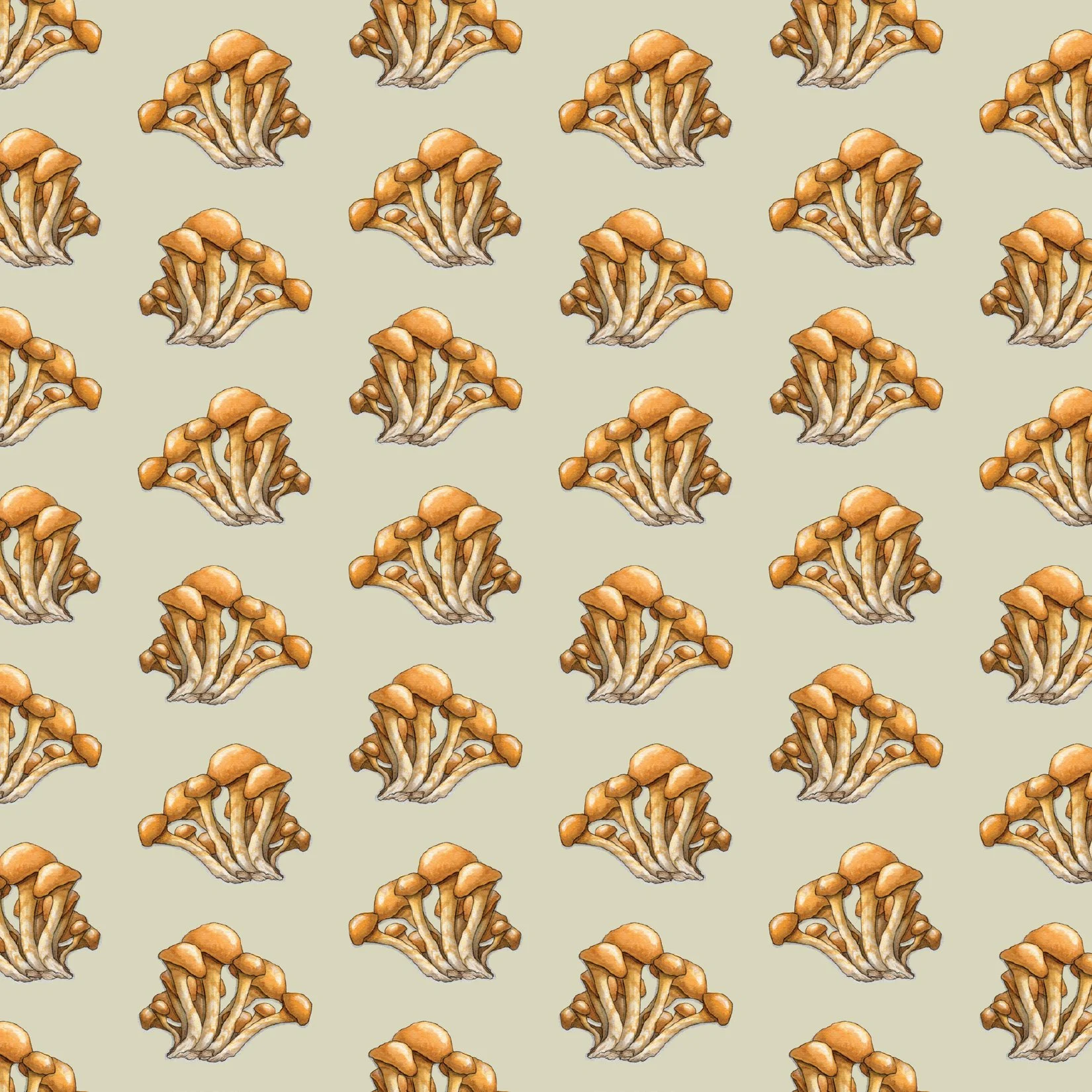 Mushroom_Gift Wrap12.jpg