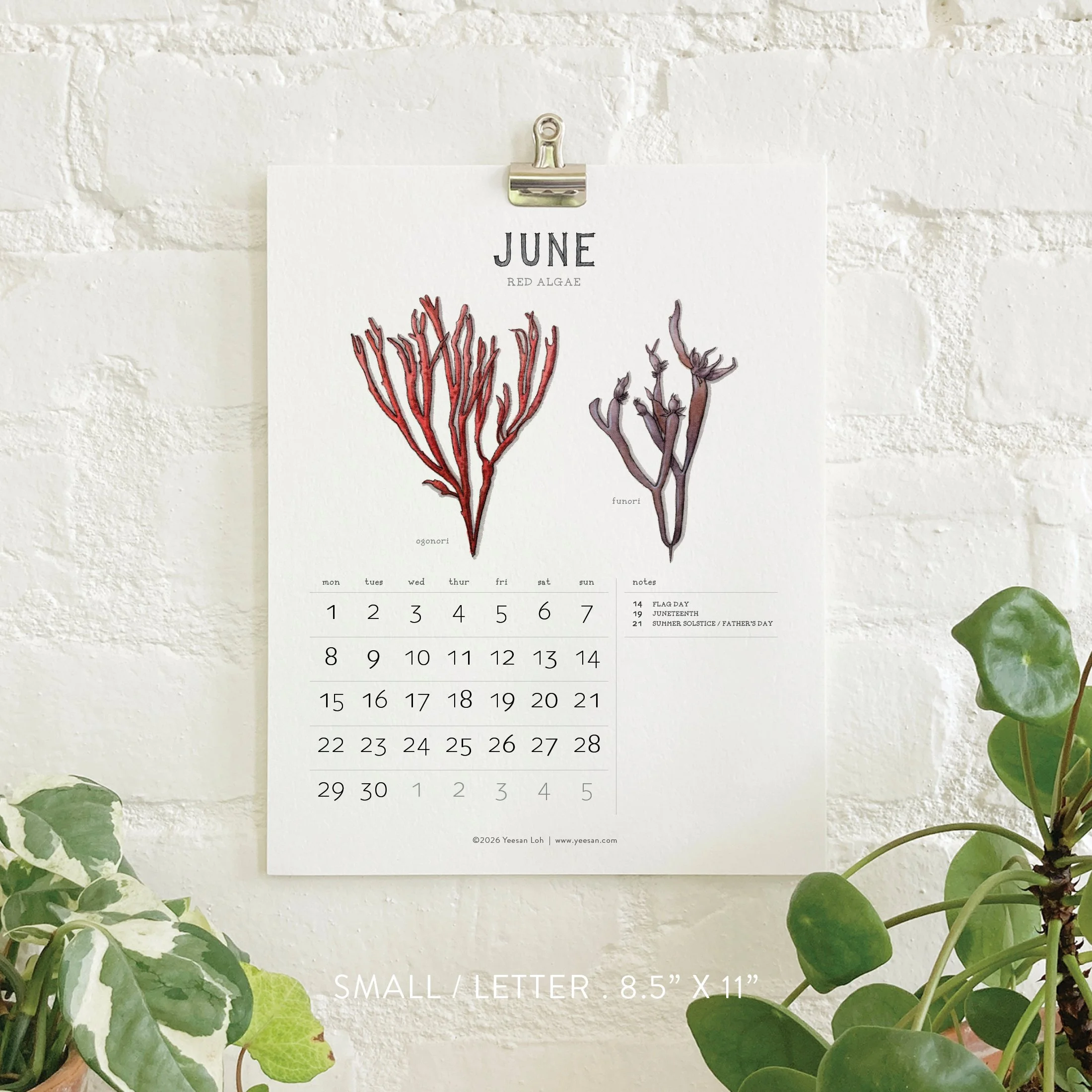 2026_shop_Calendars_Seaweed7.jpg