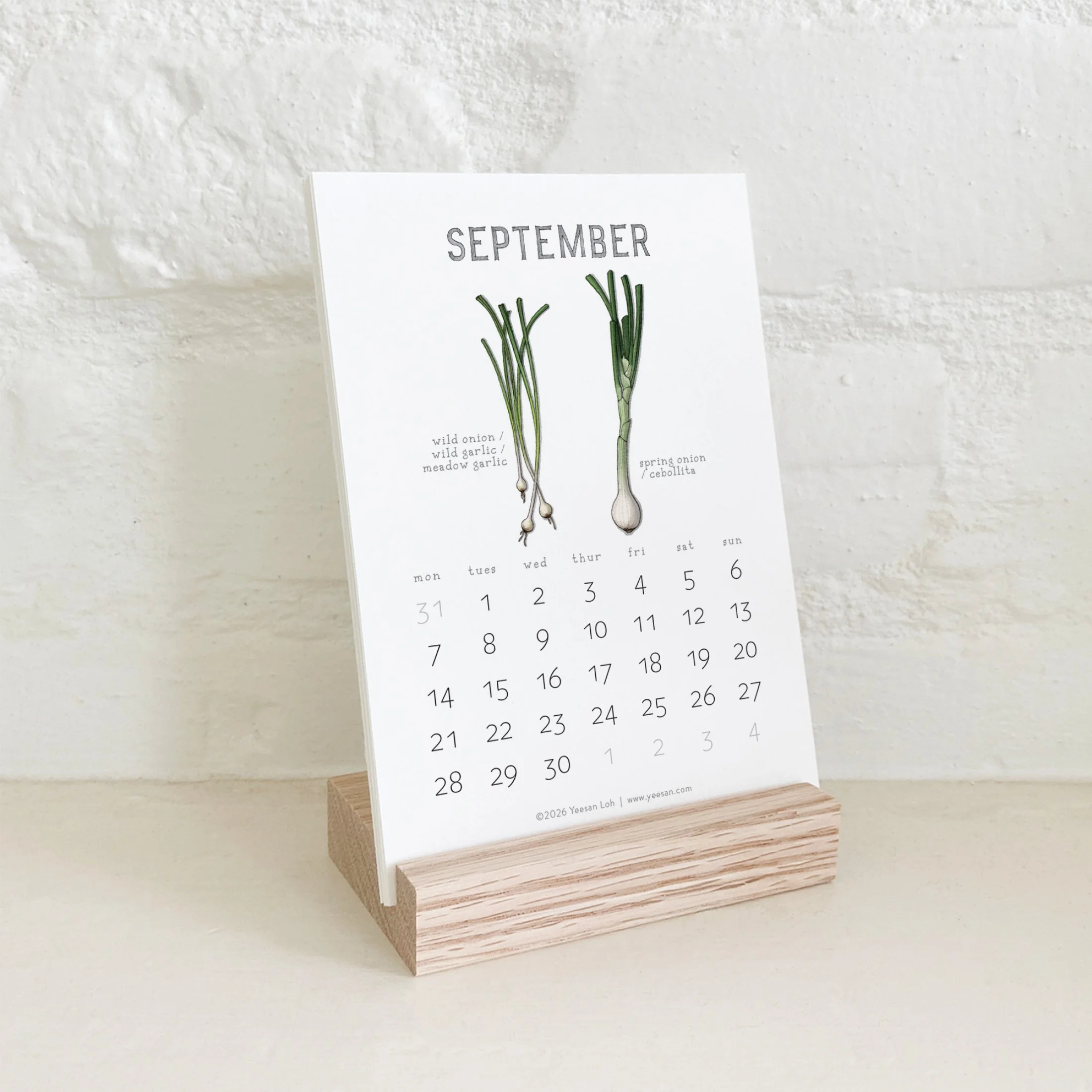 2026_shop_Calendars_Alliums11.jpg