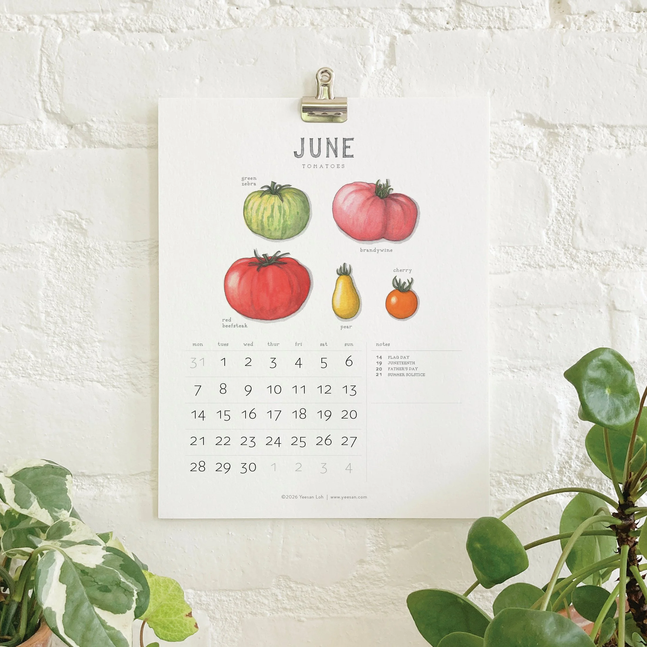 2027_shop_CAL_Vegetables8.jpg