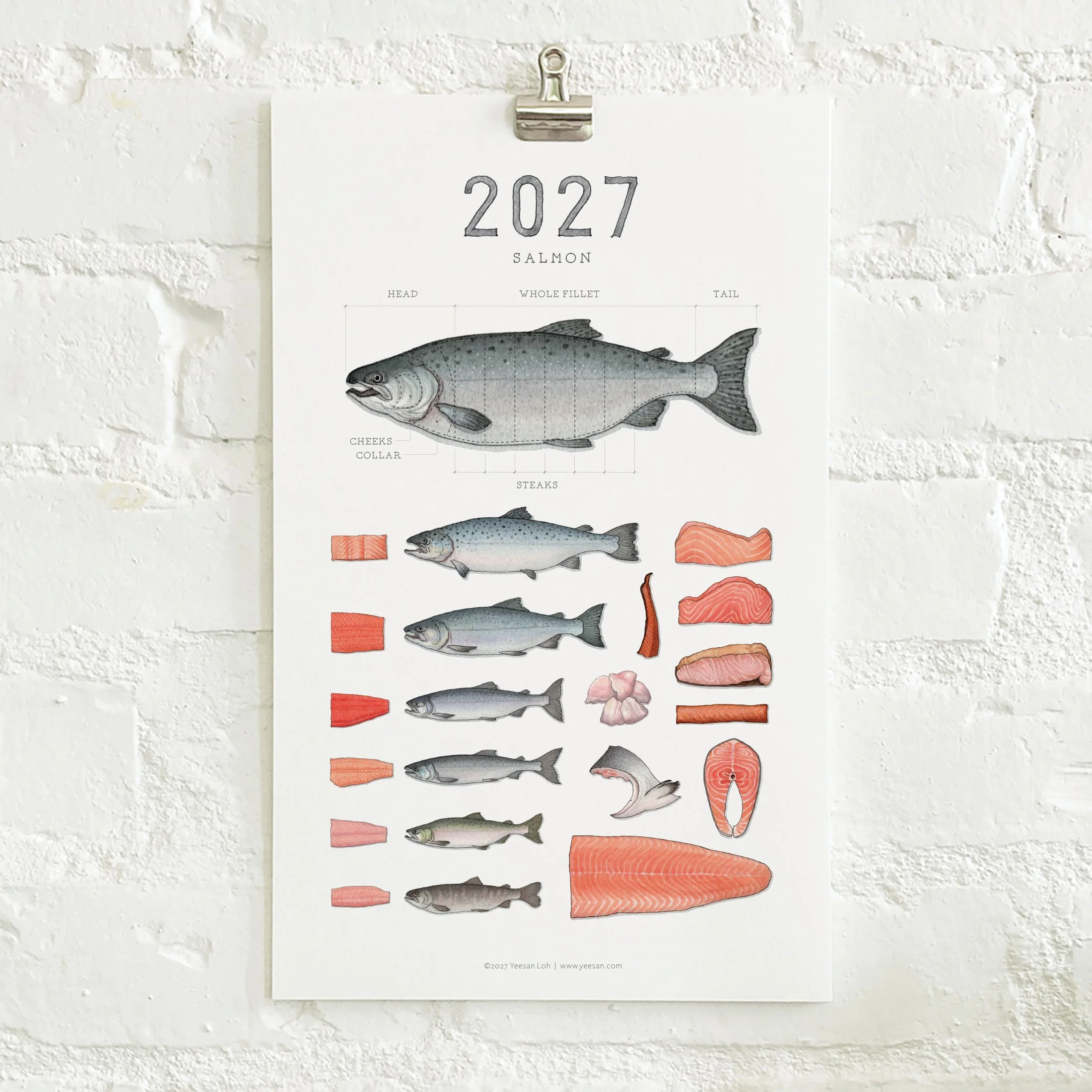 2027_shop_CAL_Salmon2.jpg