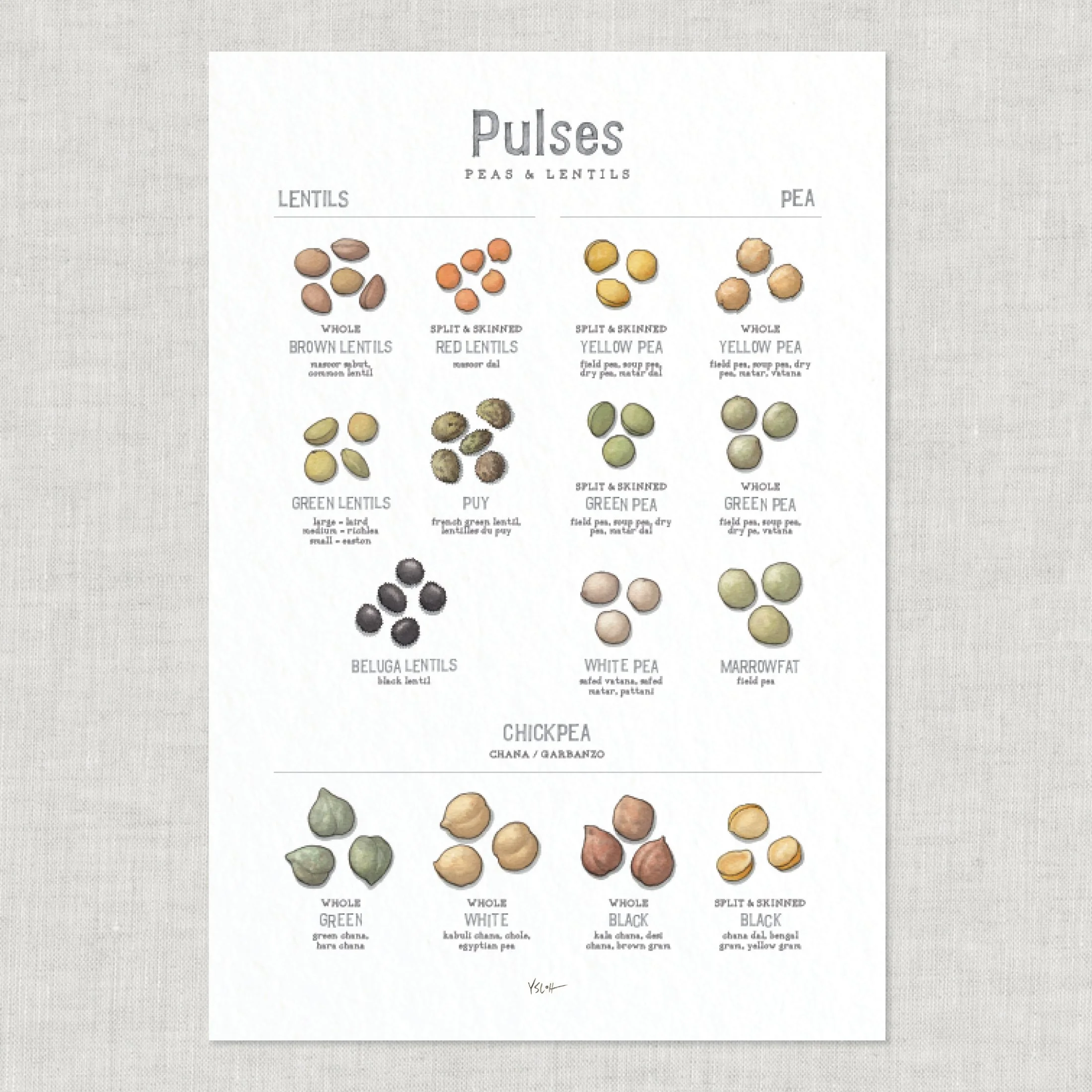 Shop_Poster_13x19_Pulses6.jpg