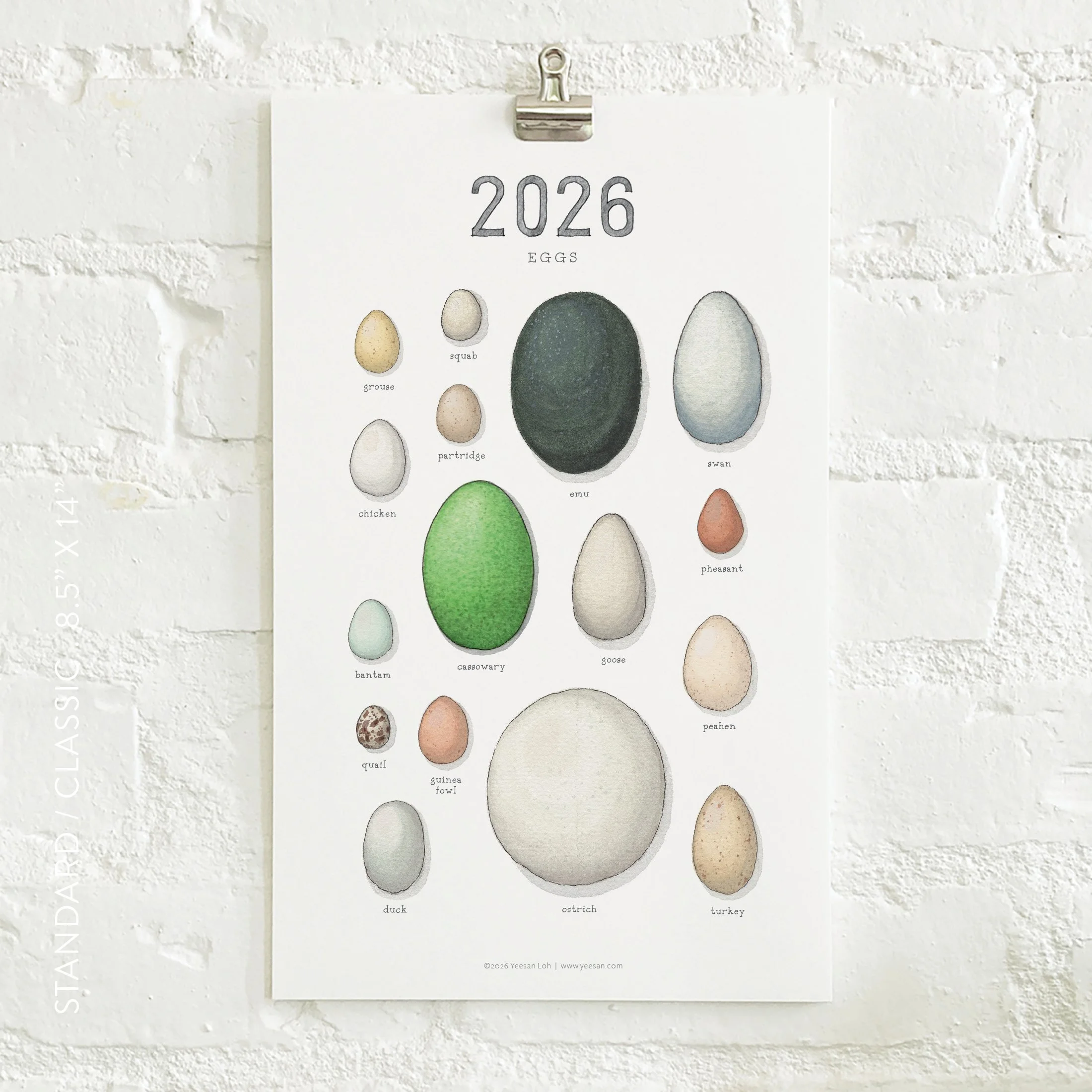 2026_shop_Calendars_Eggs2.jpg