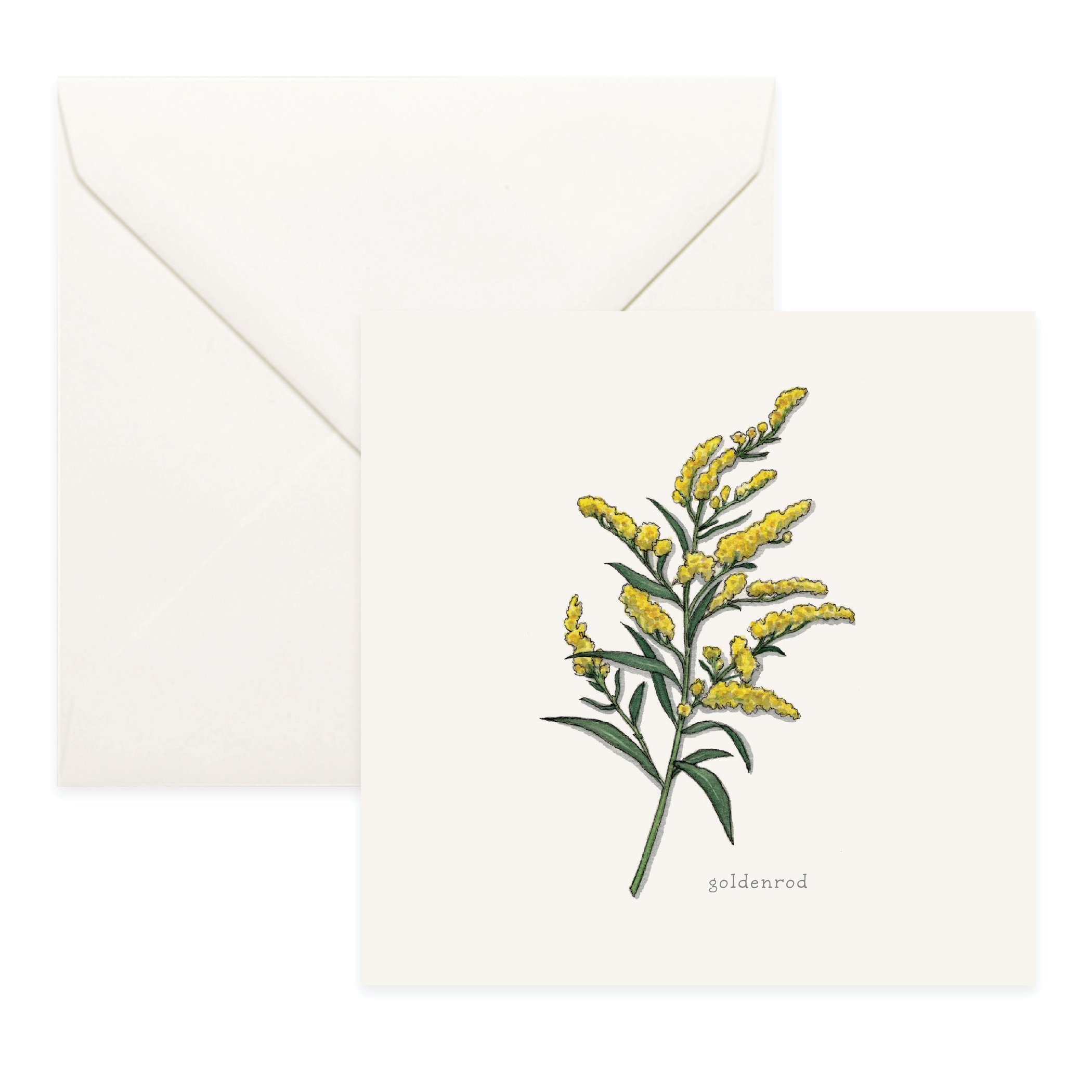 Shop_Cards_Flowers26.jpg