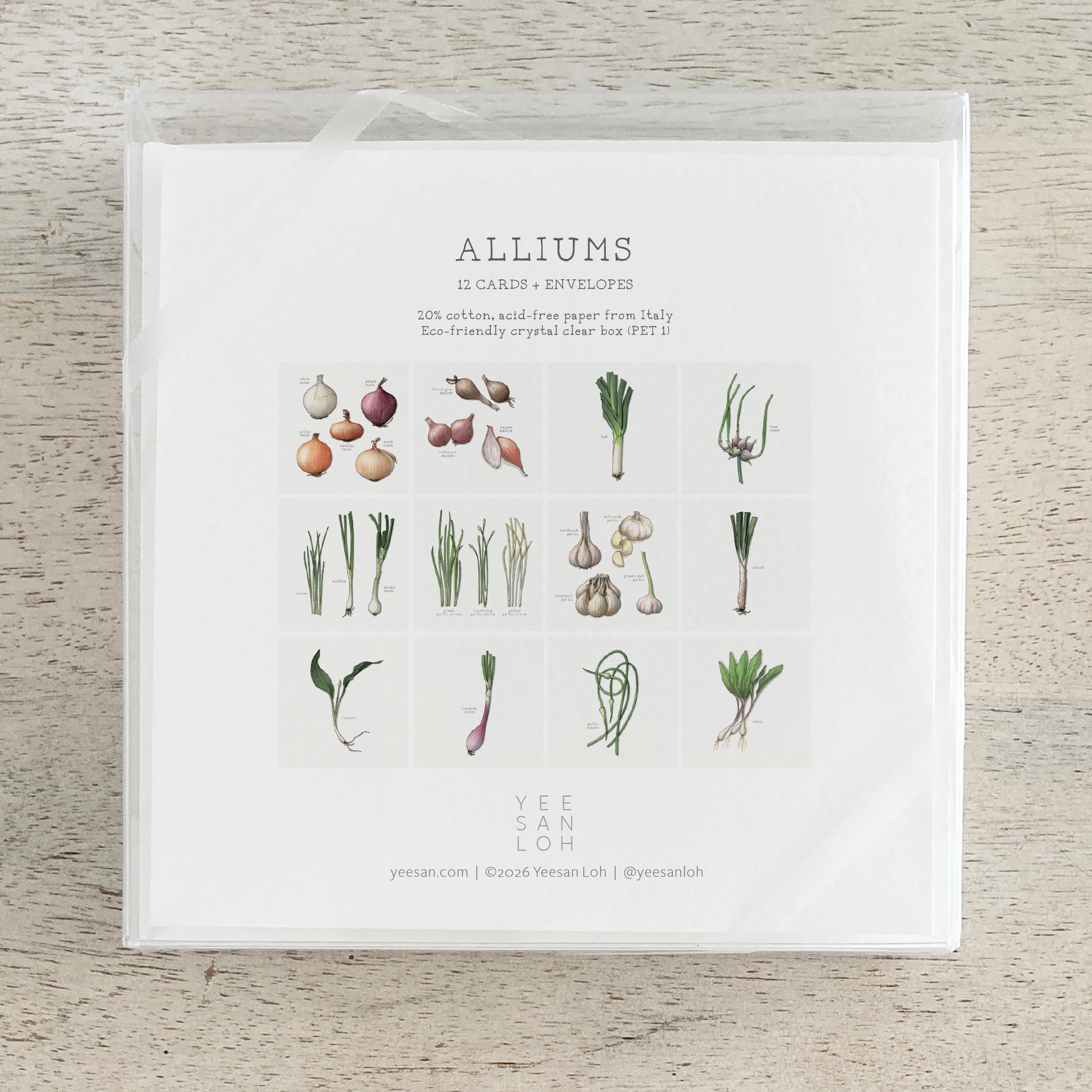 Shop_Box Set_Alliums6.jpg