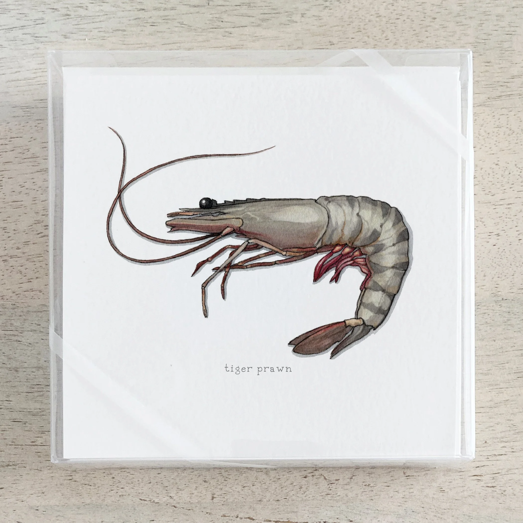 Shop_Box Set_Shrimp & Prawn.jpg