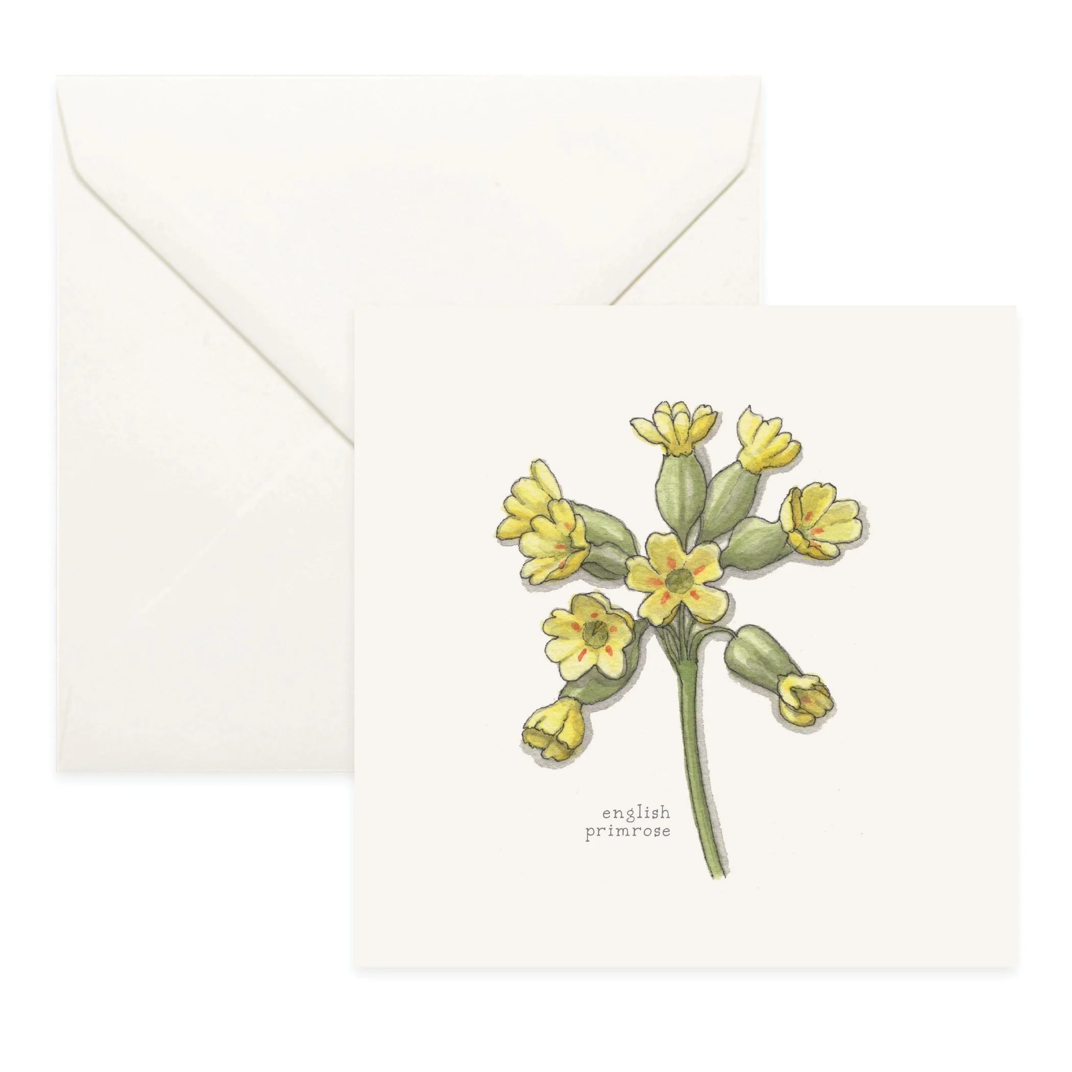 Shop_Cards_Flowers18.jpg