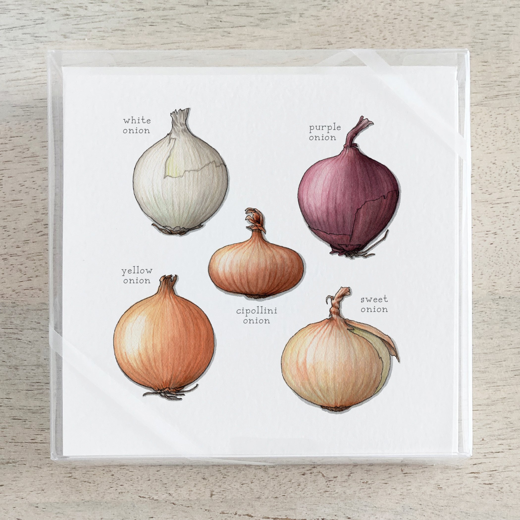 Shop_Box Set_Alliums.jpg