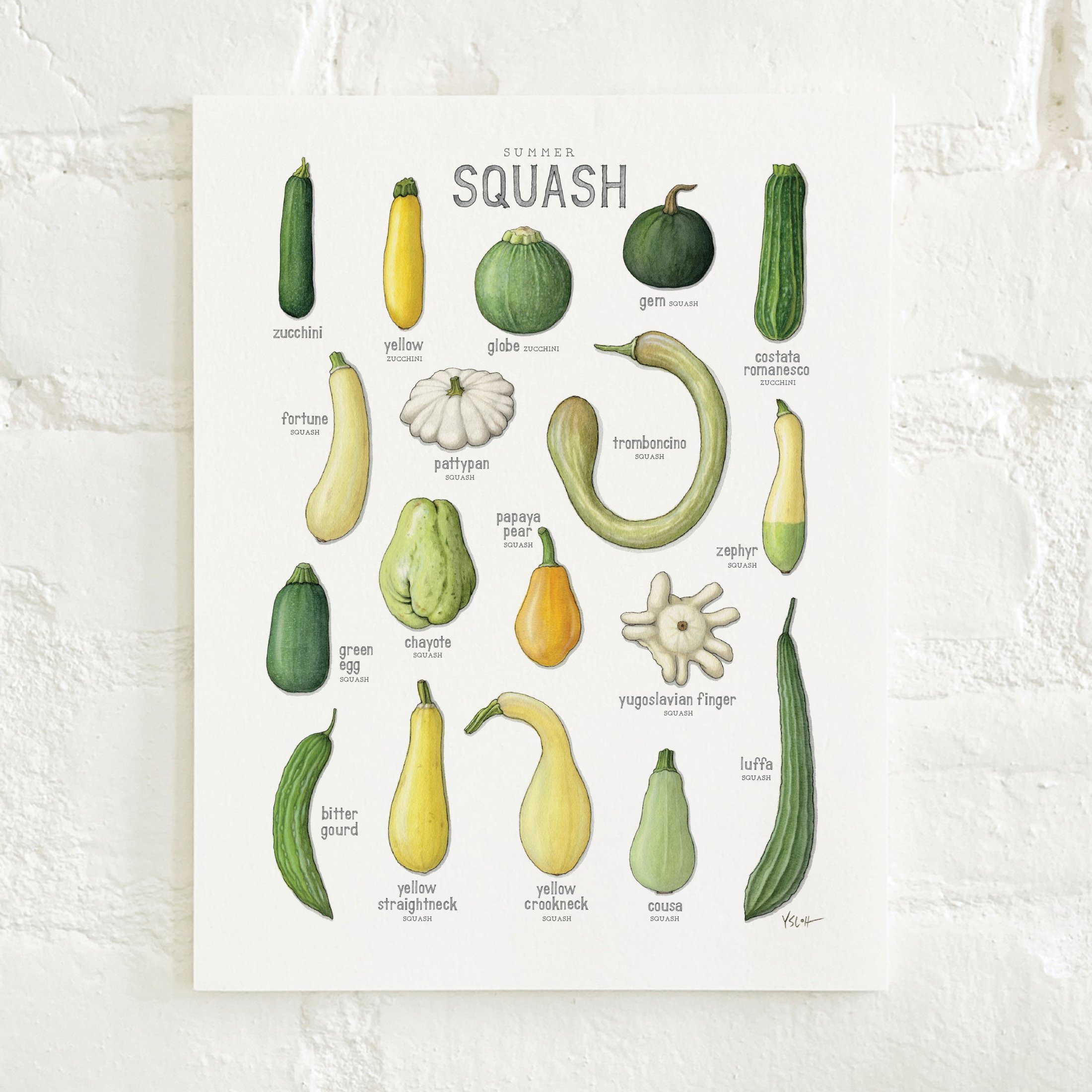 Shop_Prints_8.5x11_Squash_Summer2.jpg