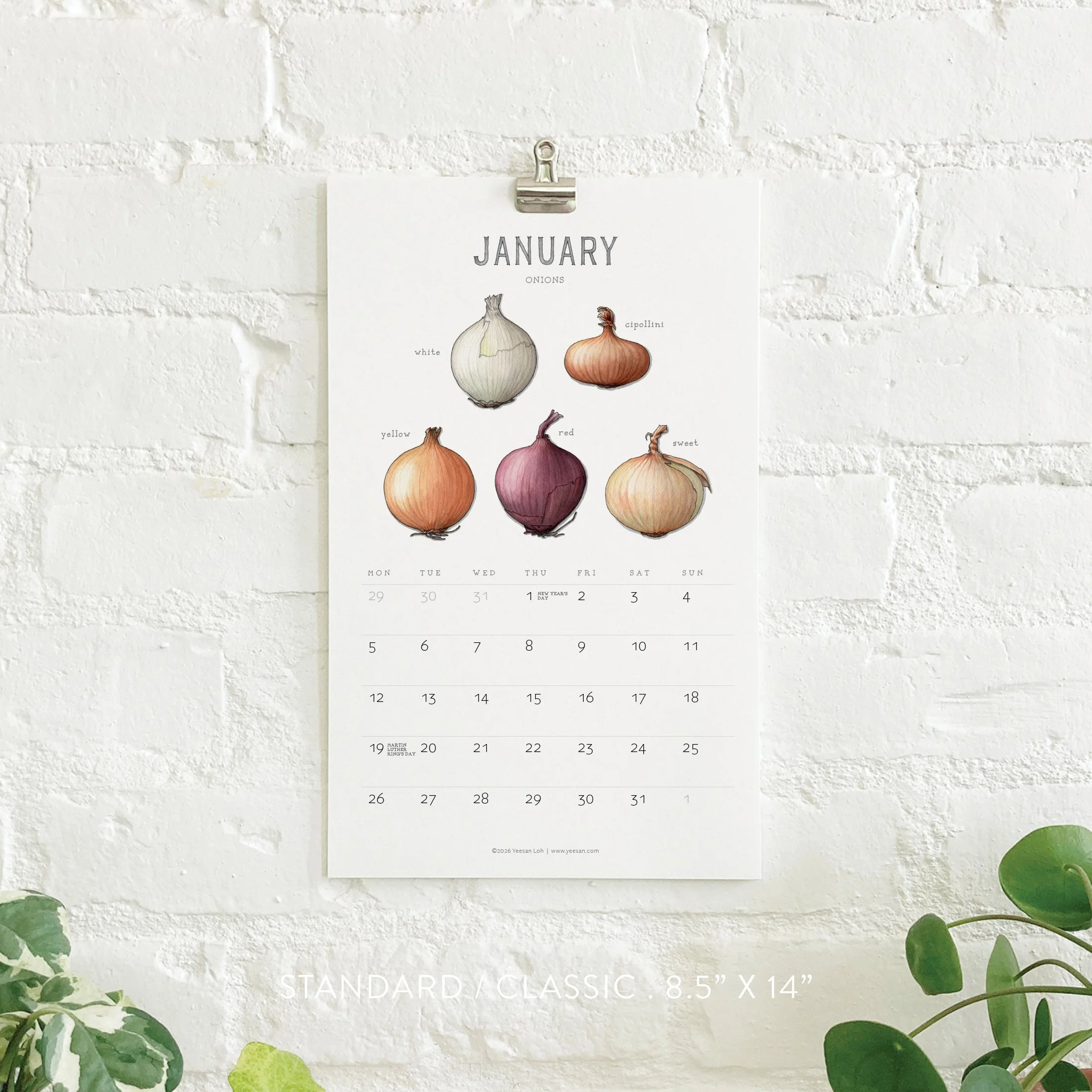 2026_shop_Calendars_Alliums3.jpg