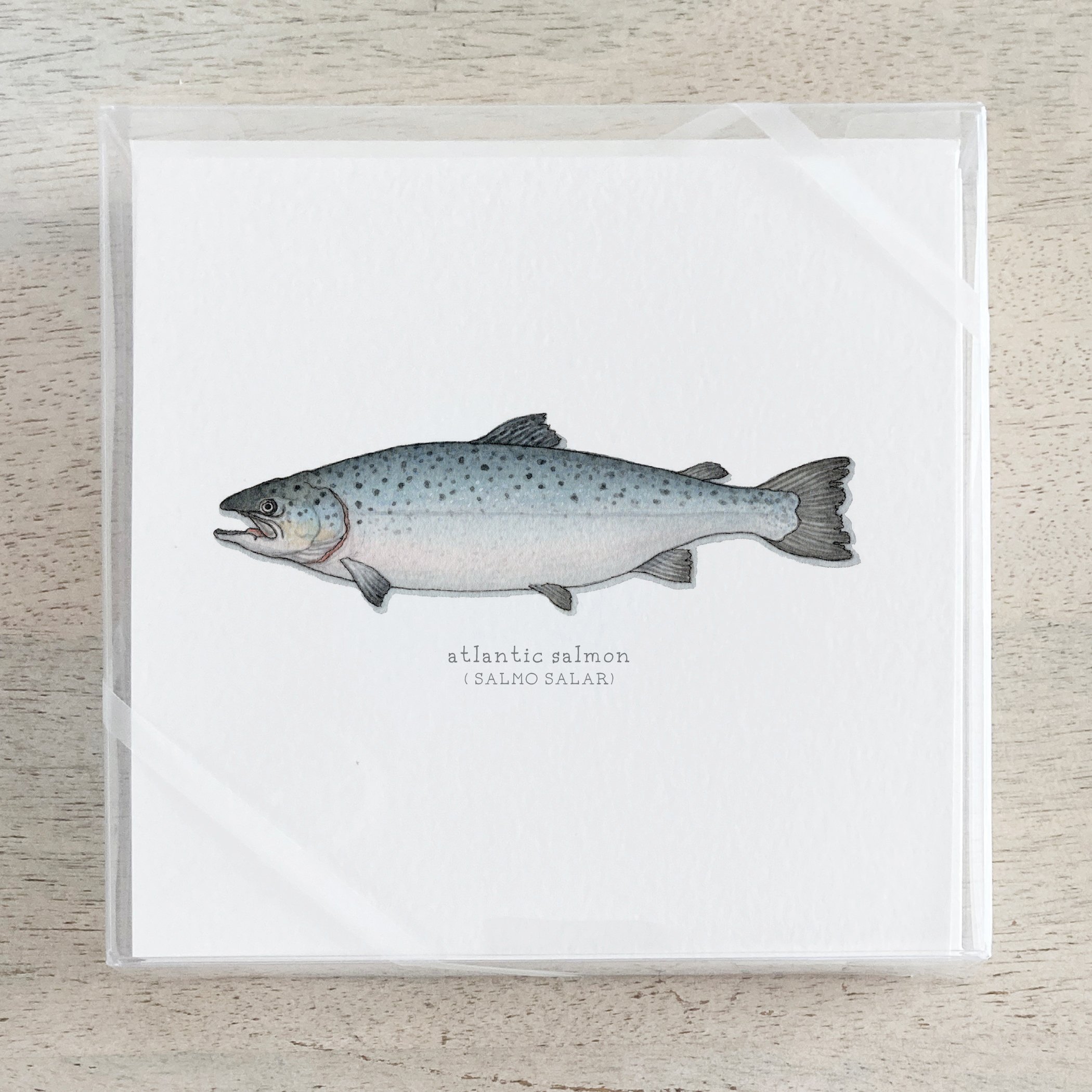 Shop_Box Set_Salmon.jpg