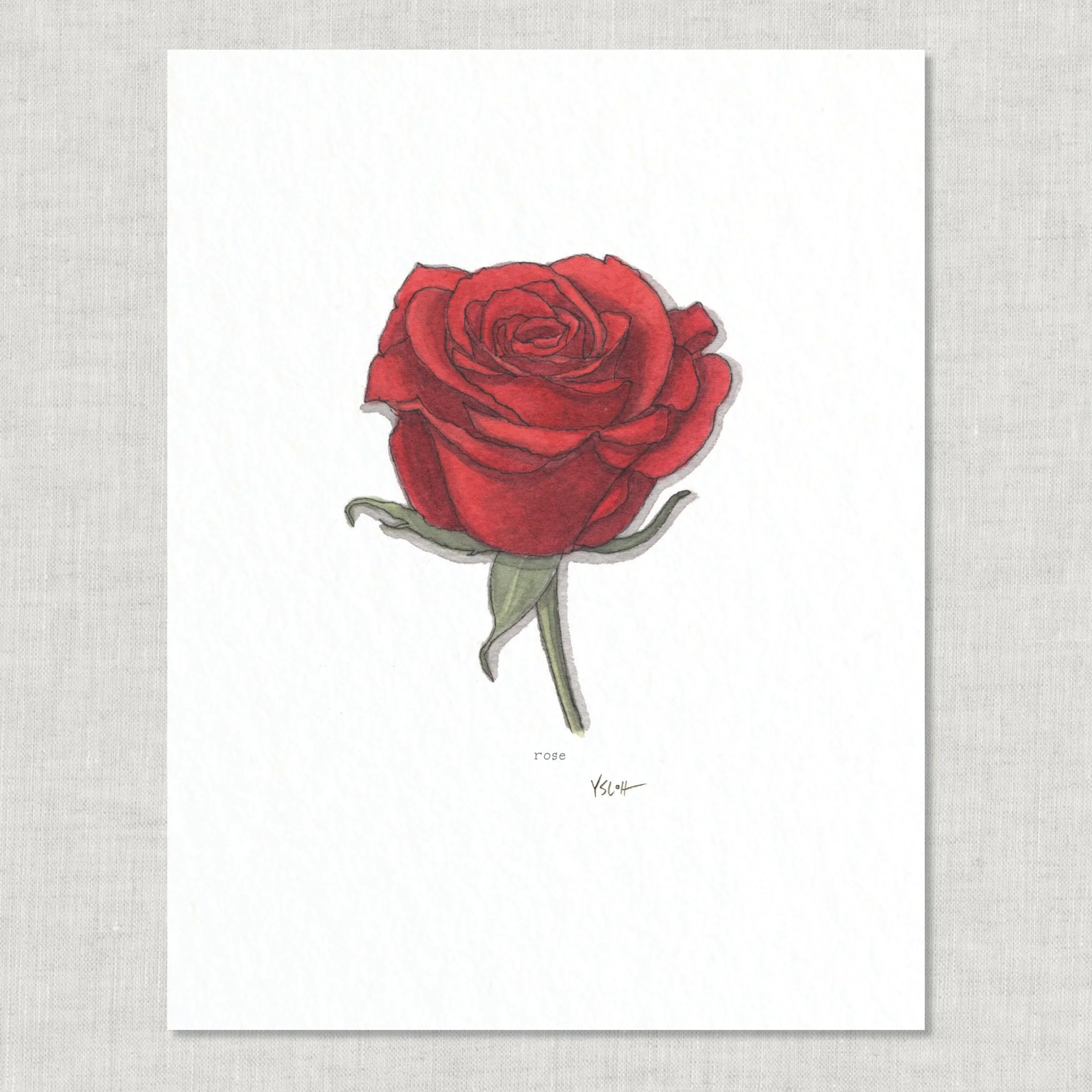 Shop_8.5x11_print_Edible Flowers24.jpg