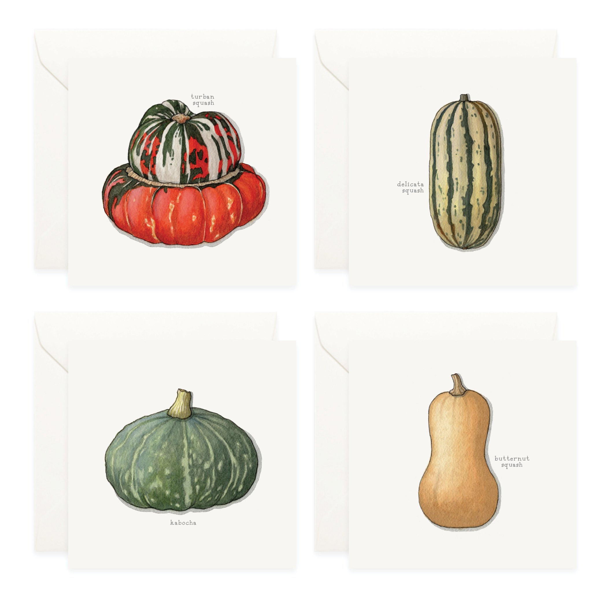 Shop_Box Set_Squash_Winter4.jpg