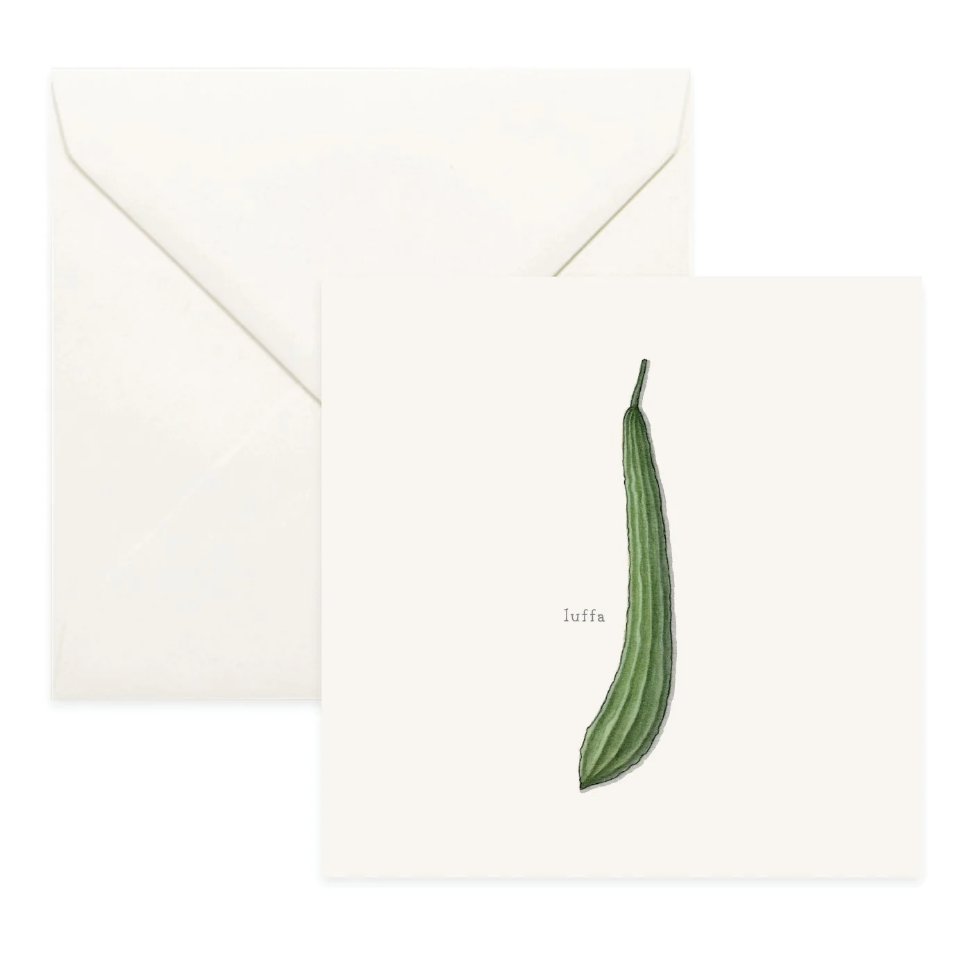 Shop_Cards_Squash_Summer14.jpg