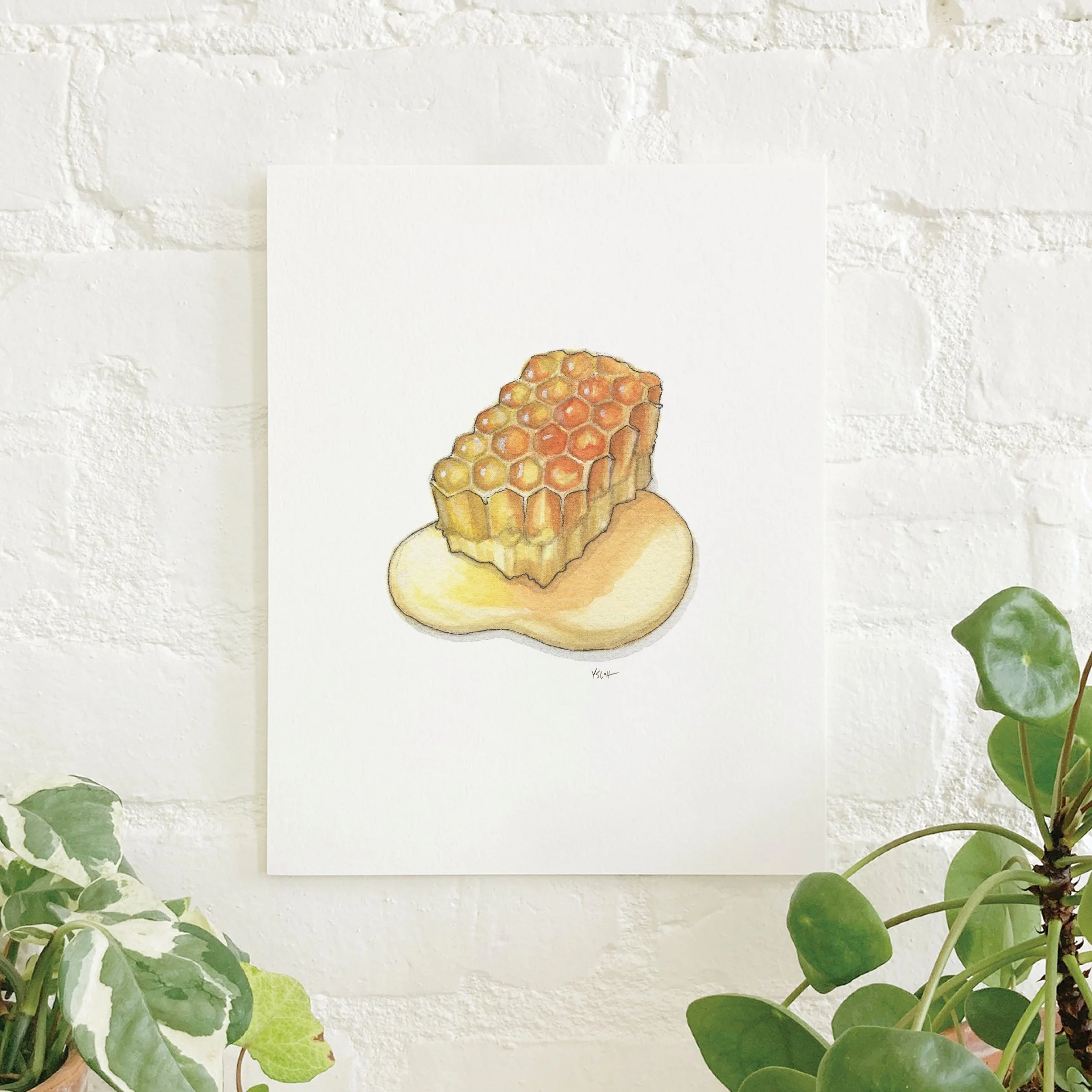 Shop_Prints_8.5x11_Bees & Honey4.jpg