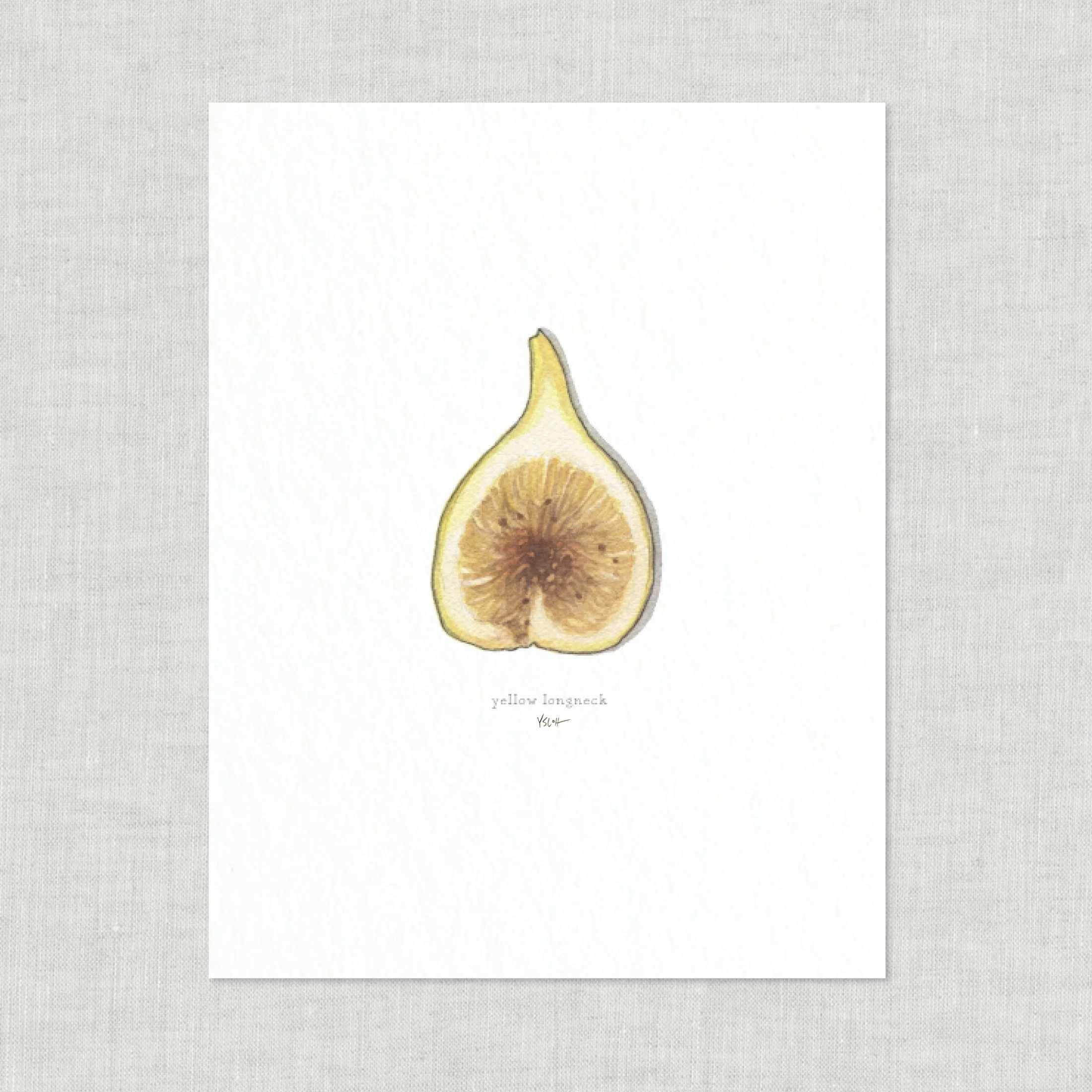 Shop_Prints_8.5x11_Figs12.jpg