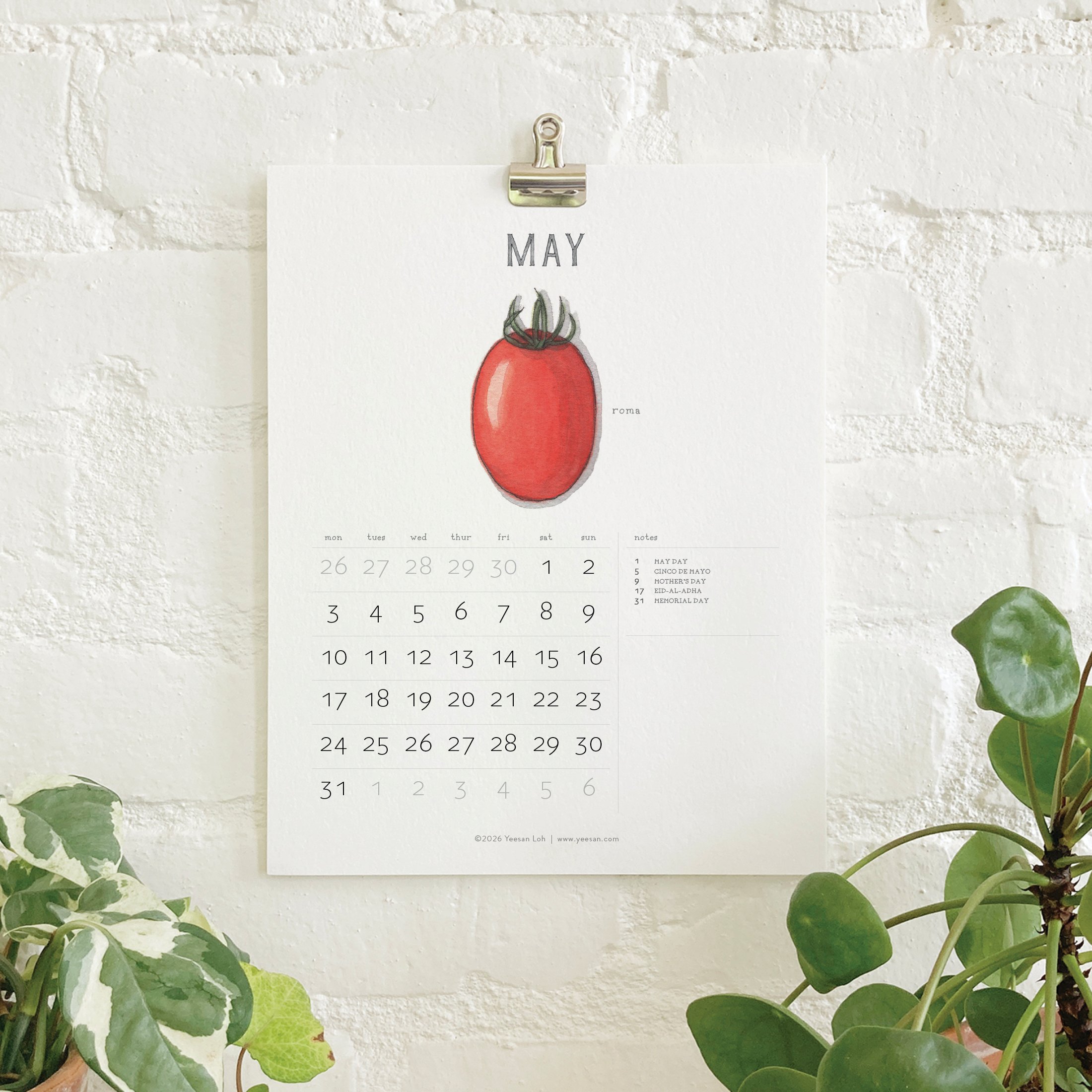 2027_shop_CAL_Tomatoes7.jpg