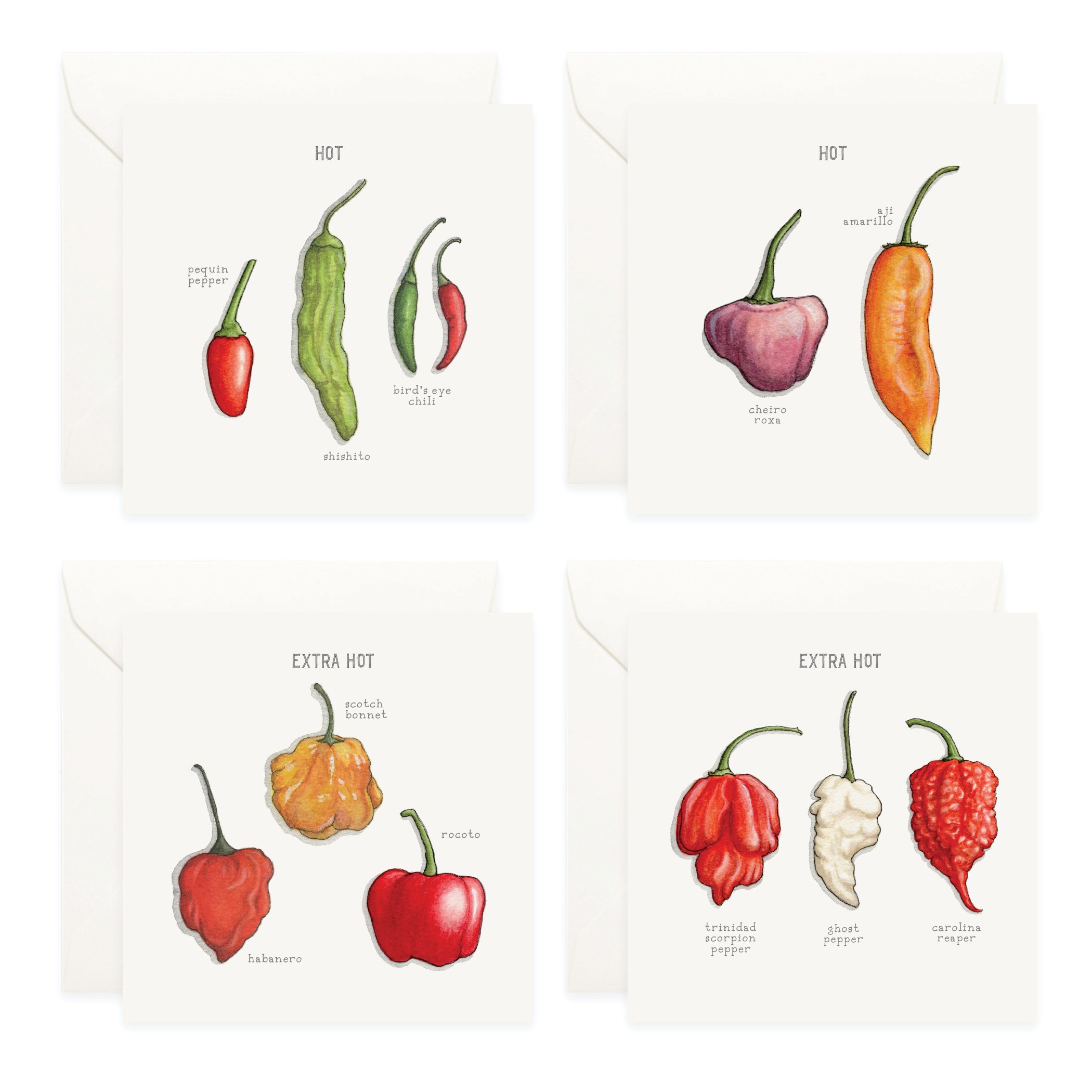 Shop_Box Set_Chile Peppers5.jpg