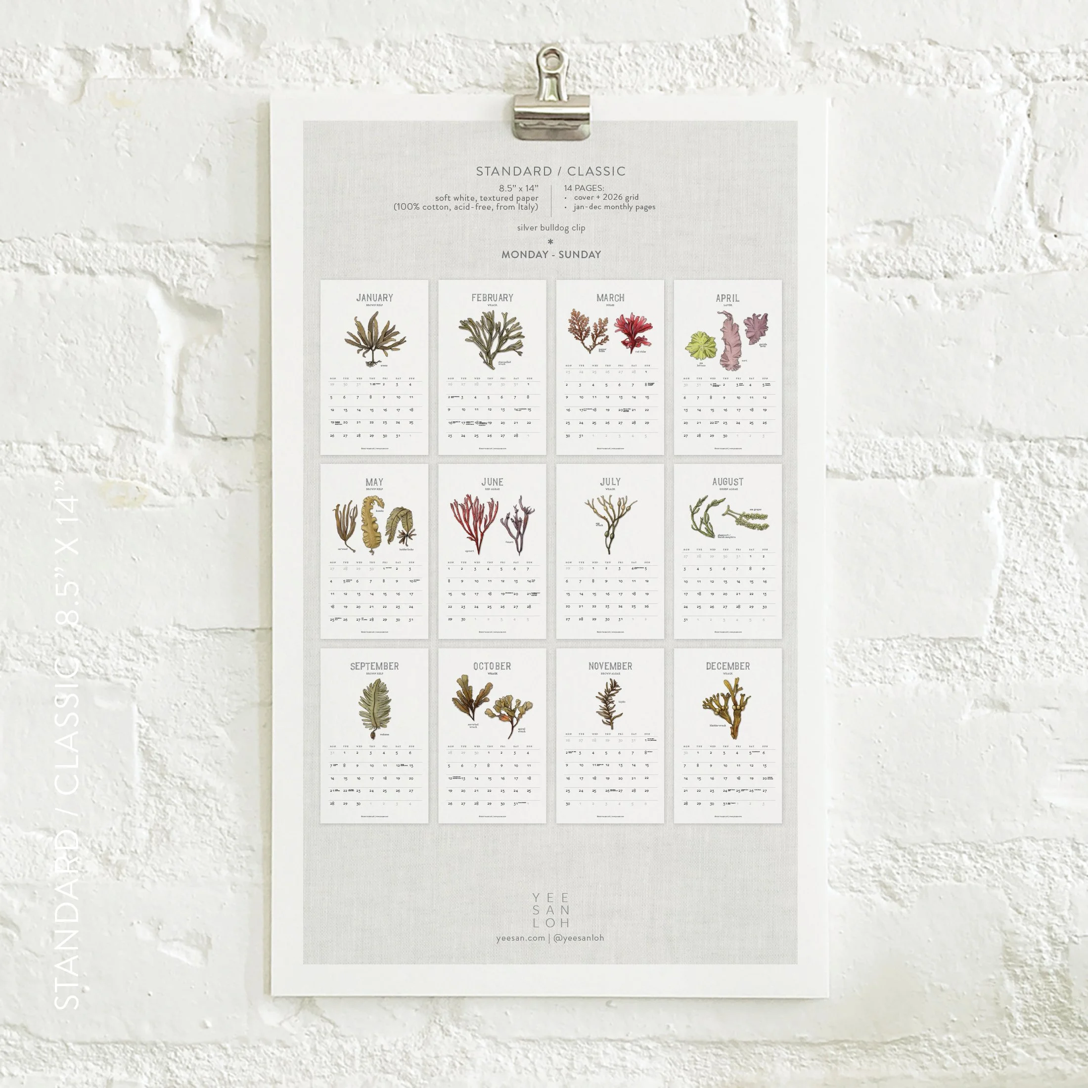 2026_shop_Calendars_Seaweed5.jpg