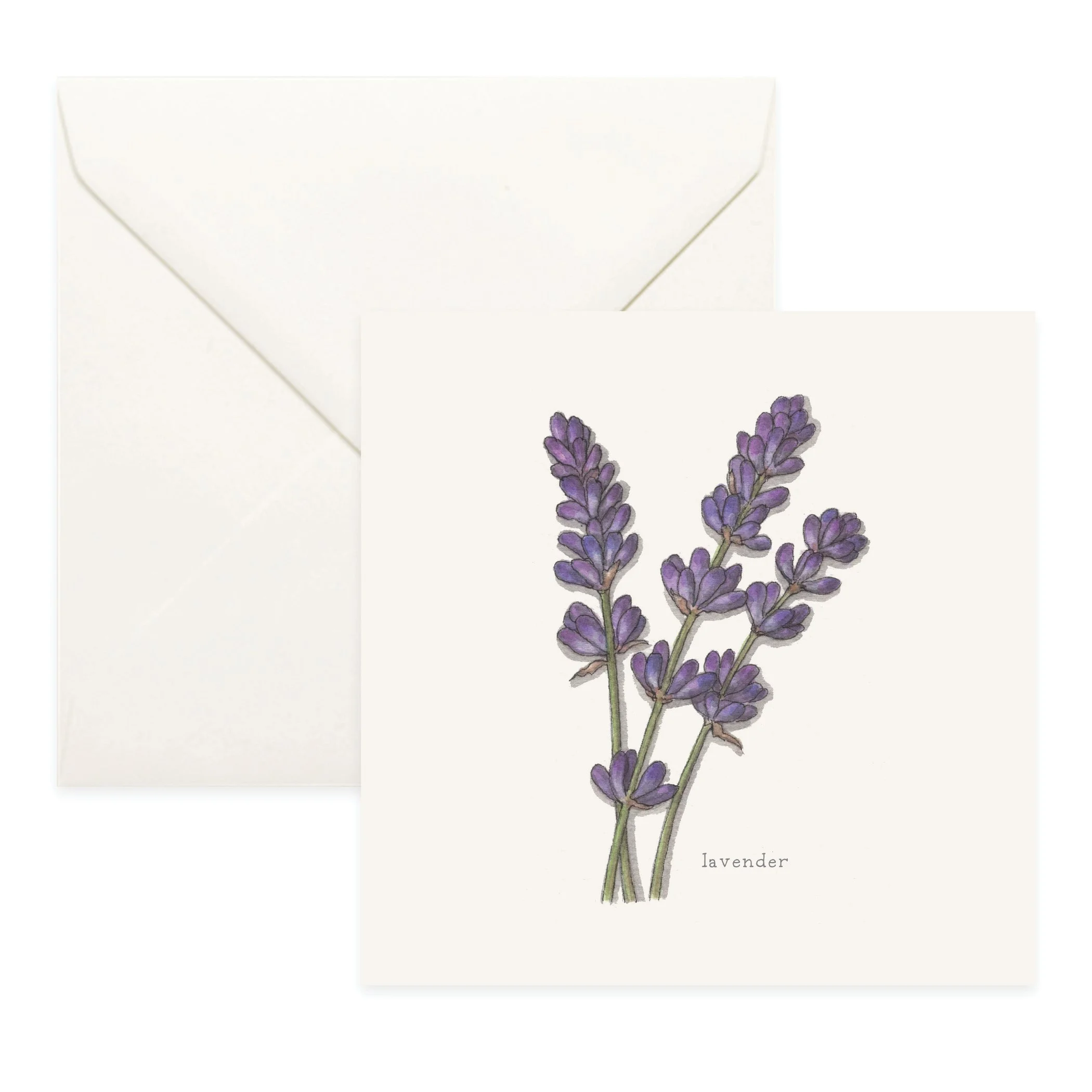 Shop_Cards_Flowers14.jpg