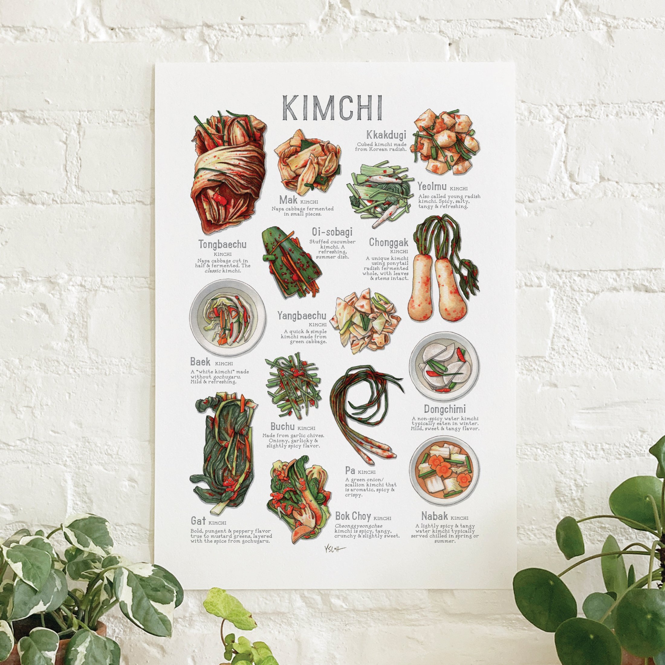 Shop_Poster_13x19_Kimchi.jpg