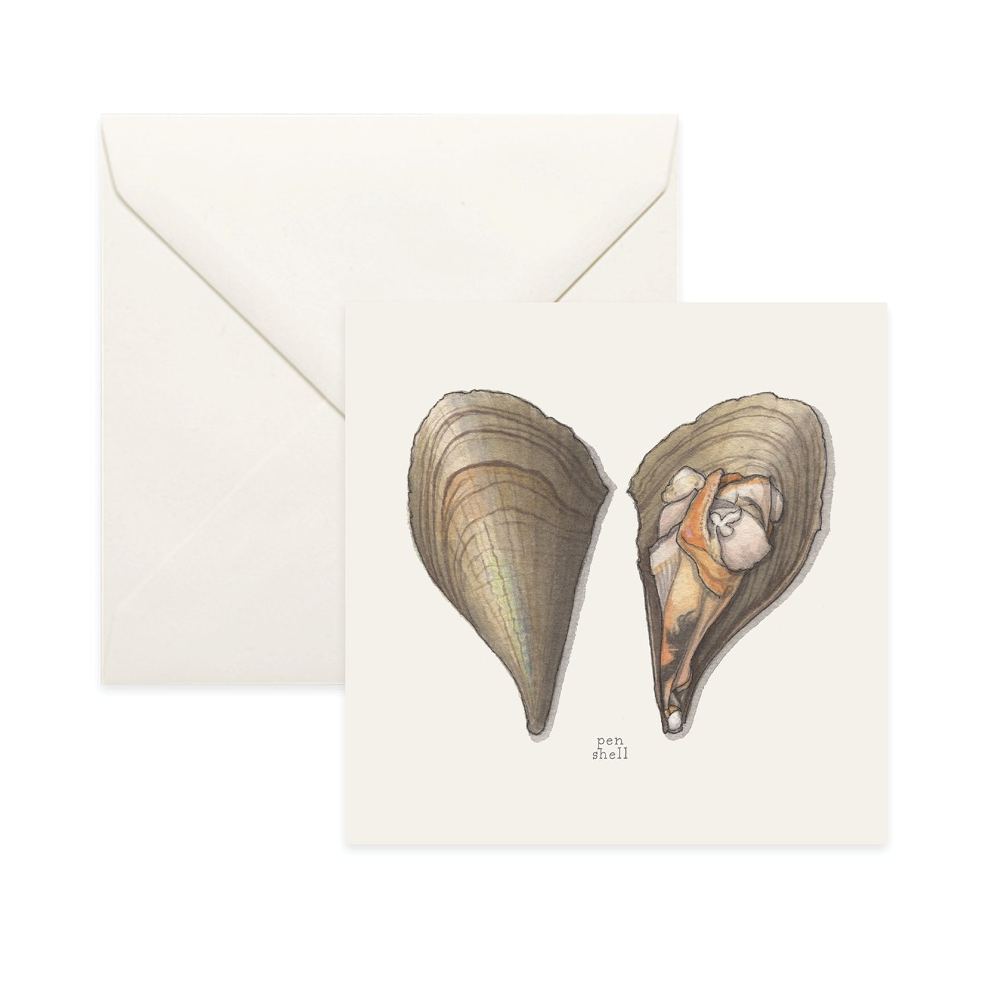 Shop_Card_Bivalves19.jpg