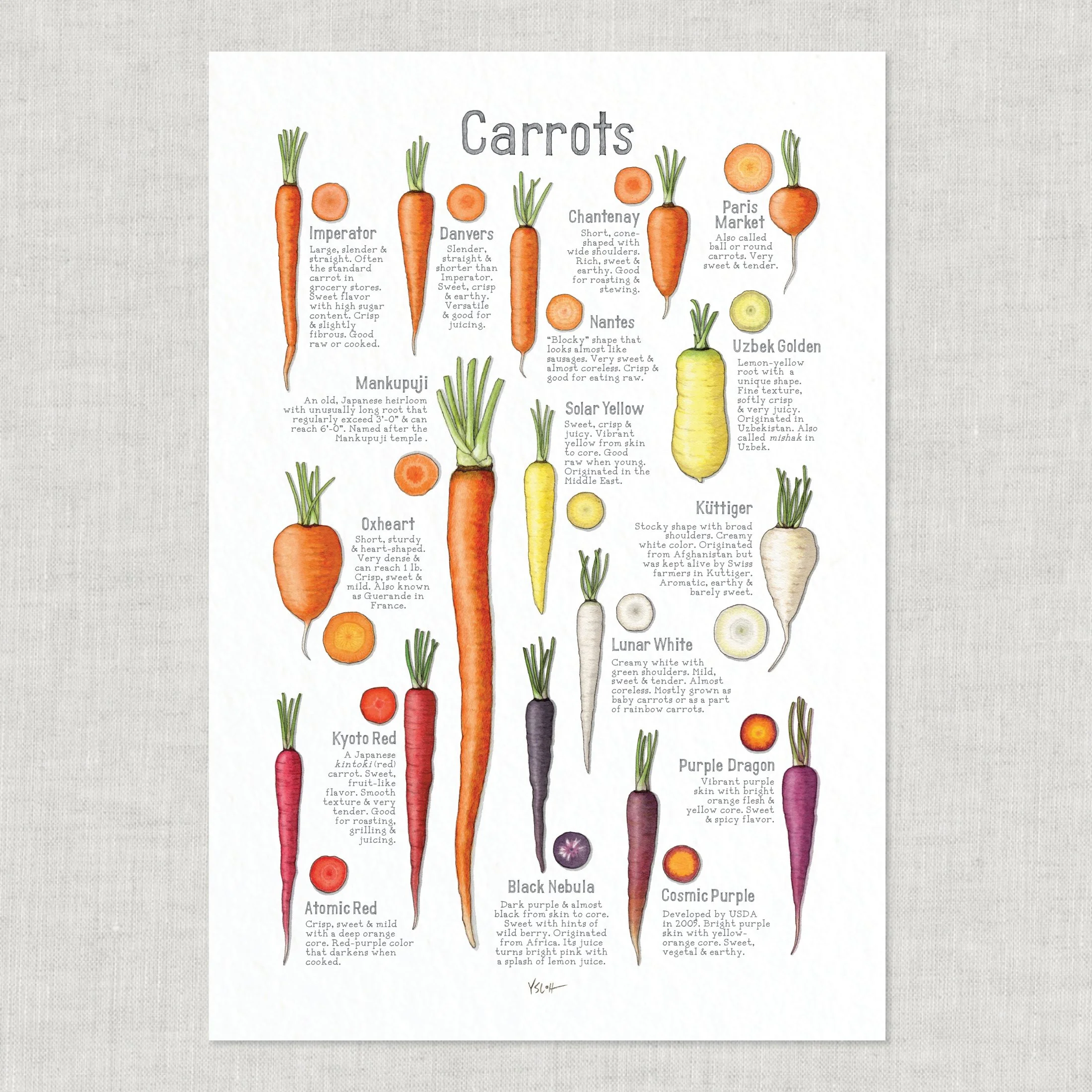Shop_Poster_13x19_Carrots3.jpg