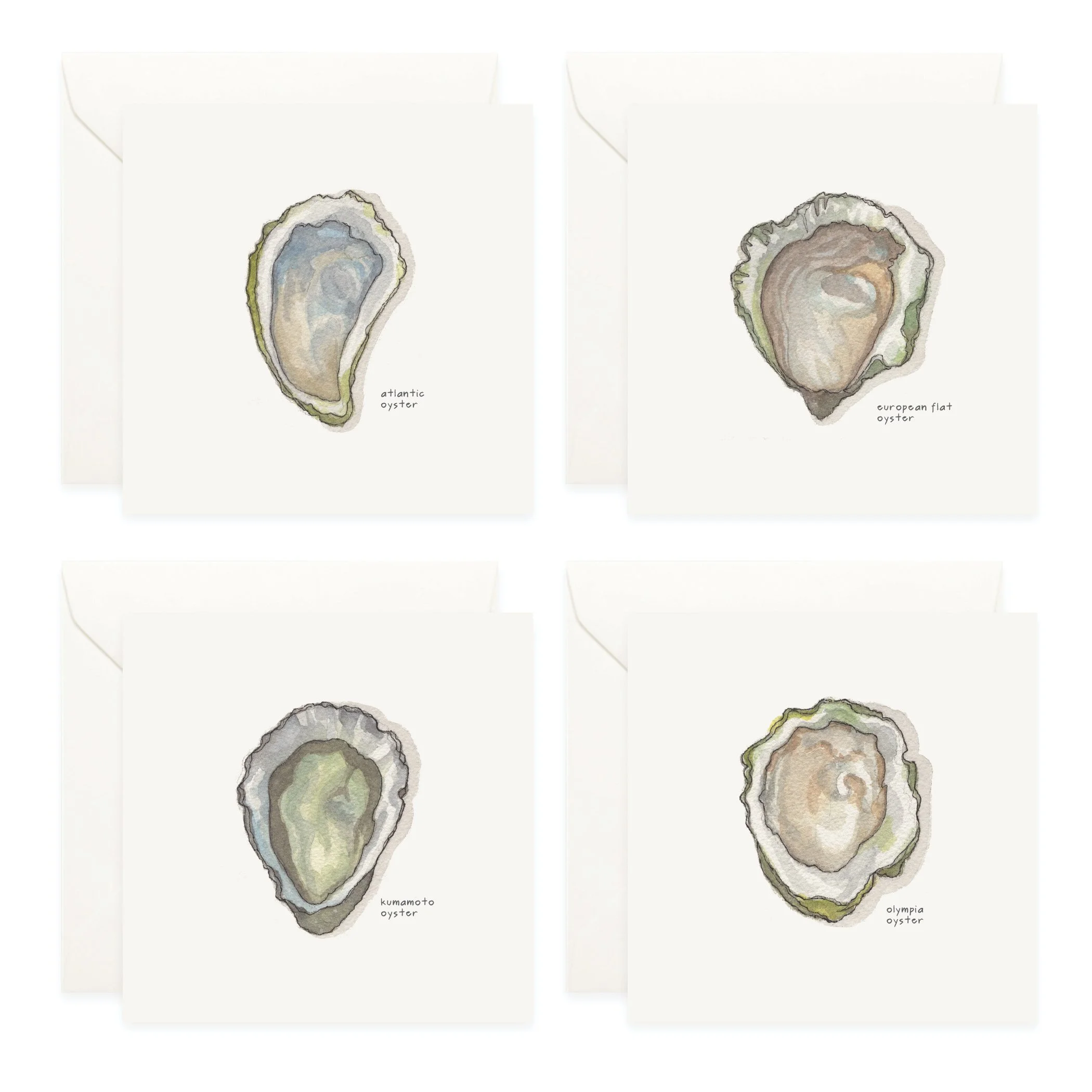 Shop_Box Set_Oysters3.jpg