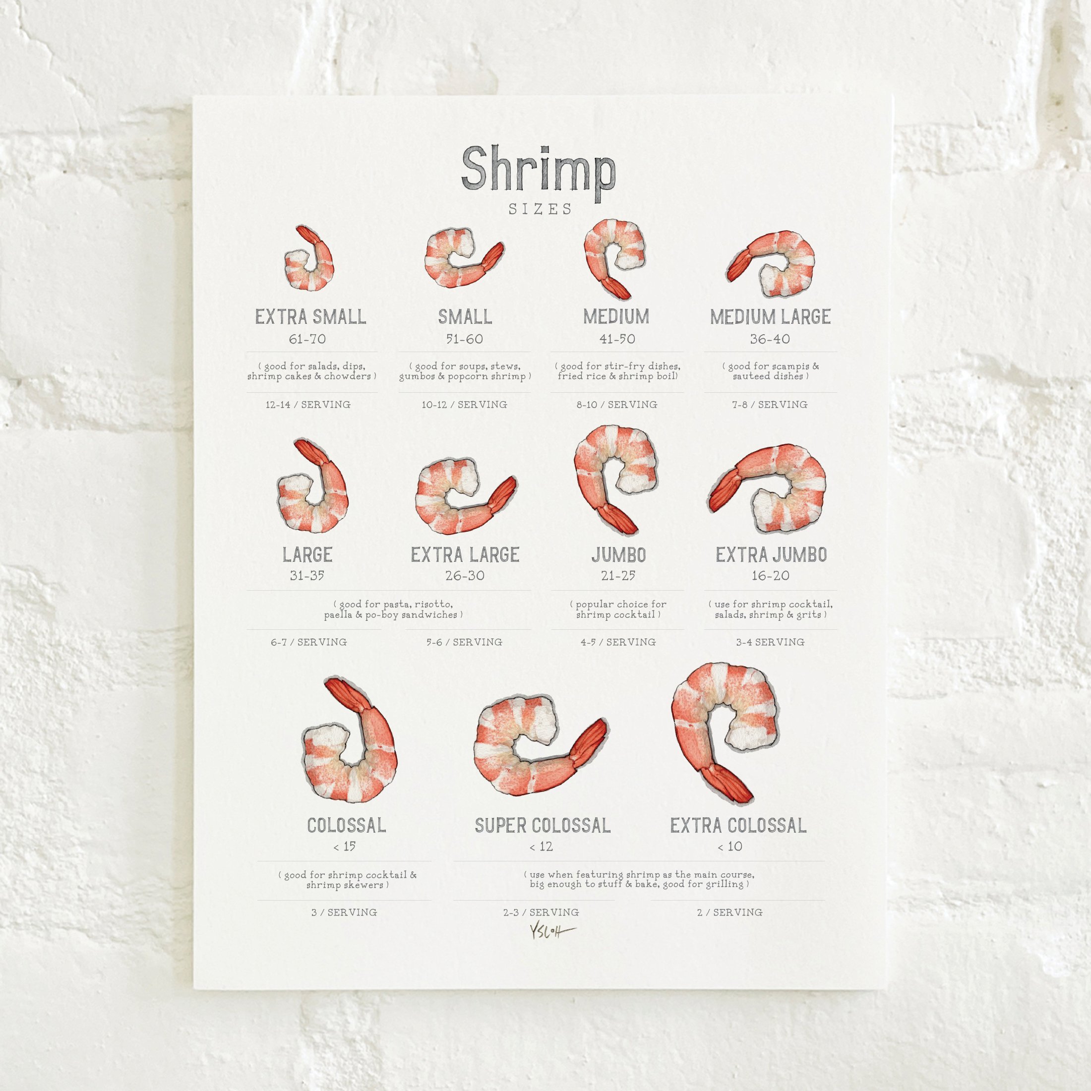 Shop_Cover_8.5x11_Shrimp2.jpg